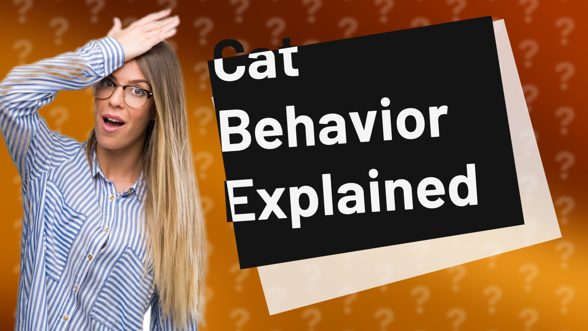 Cat Behavior Explained