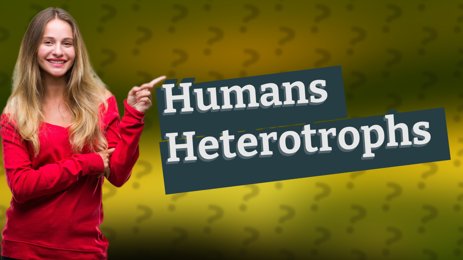Humans Heterotrophs