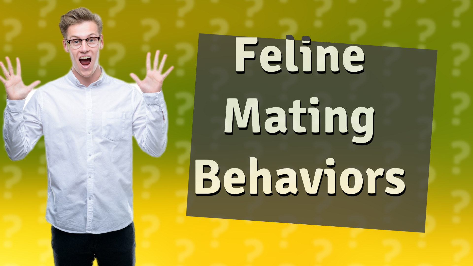 Feline Mating Behaviors