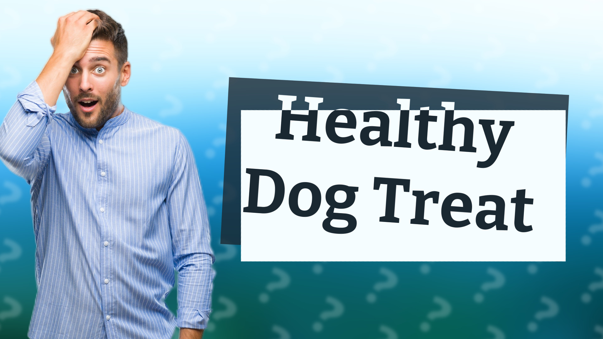 Healthy Dog Treat