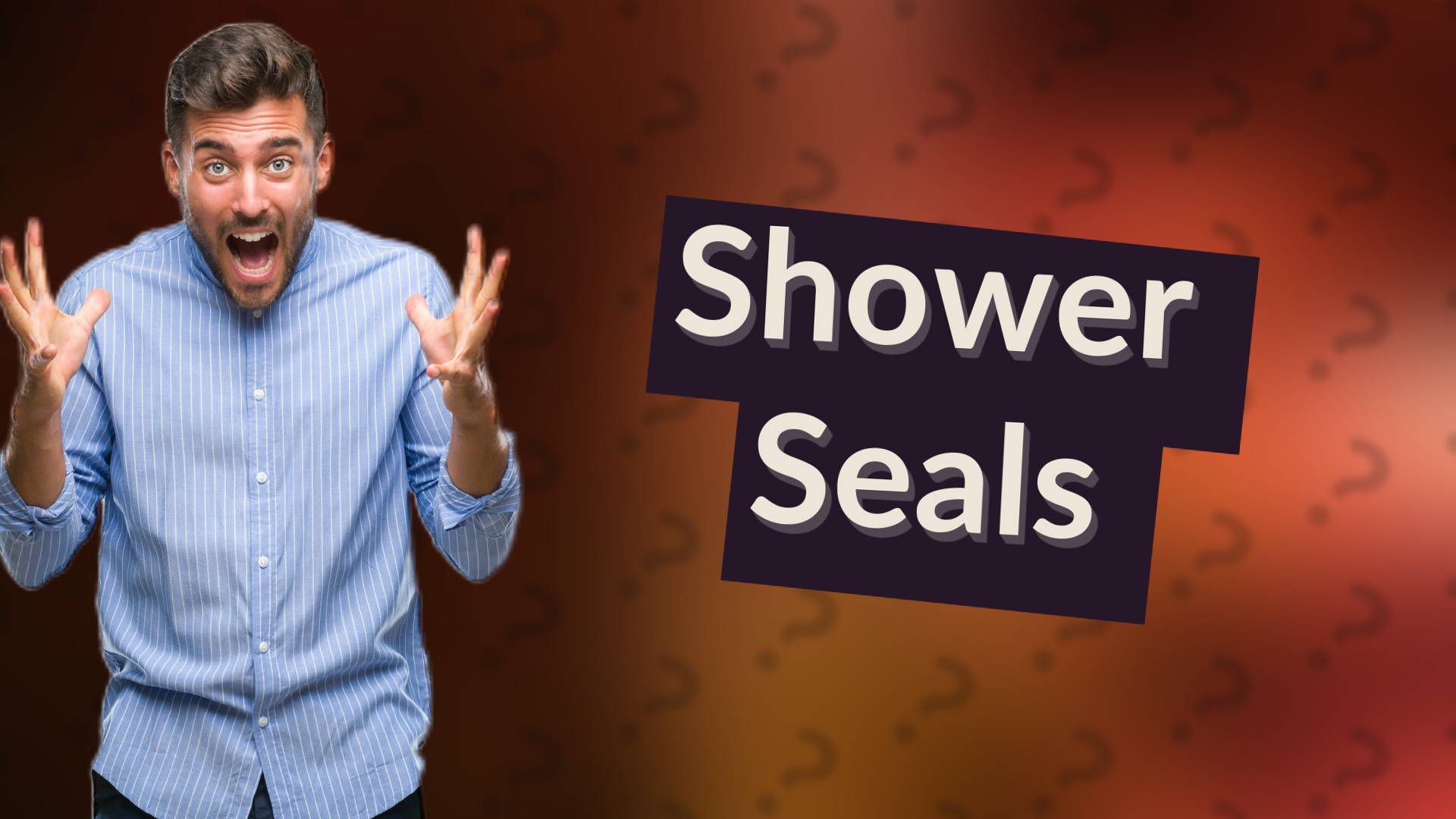 Shower Seals