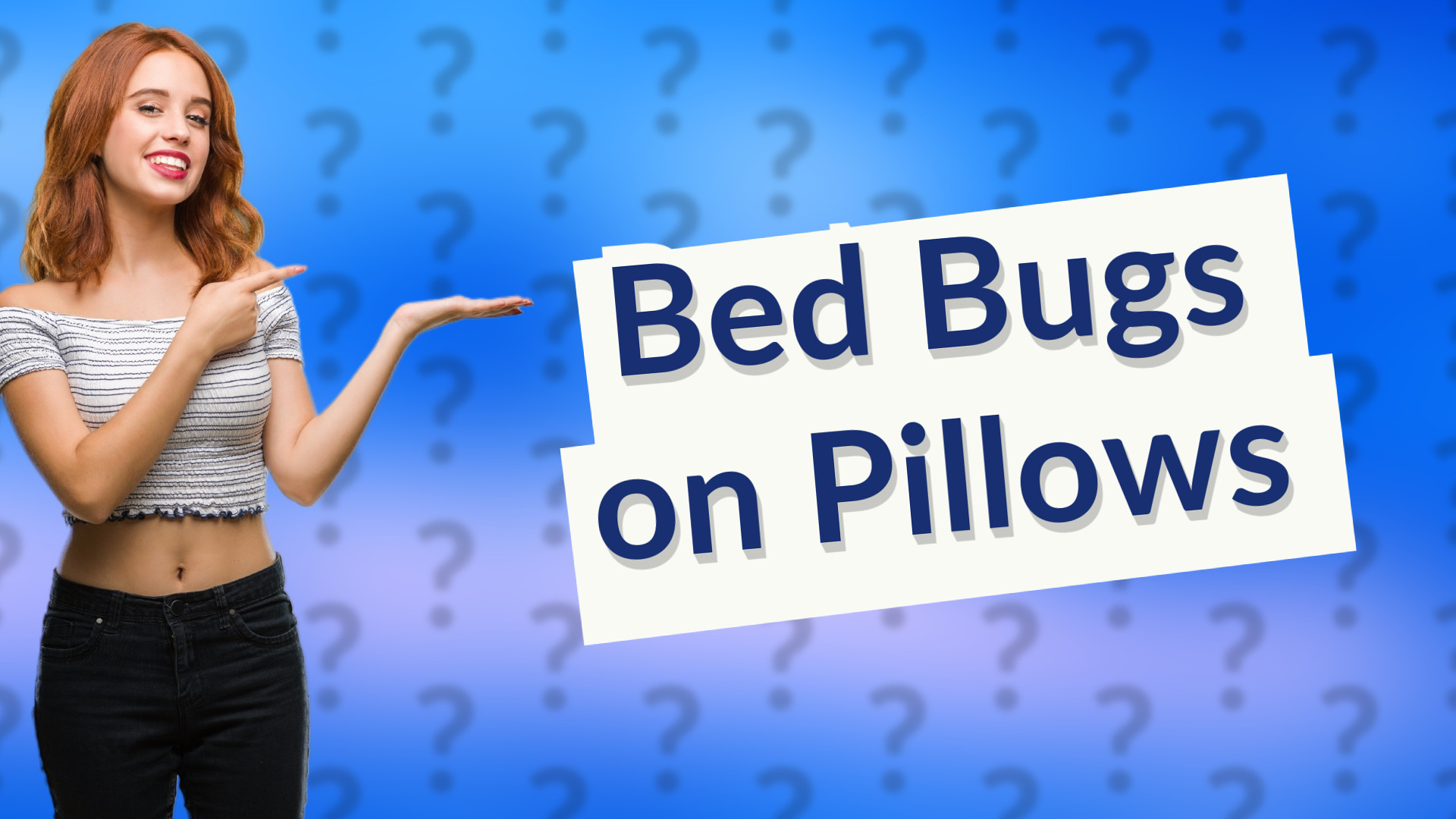 Bed Bugs on Pillows