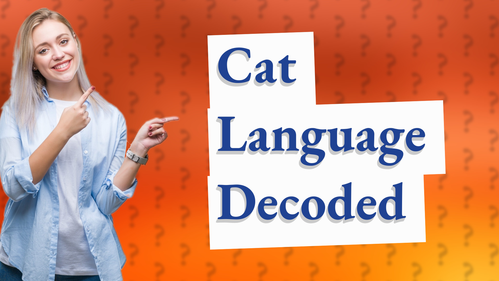 Cat Language Decoded