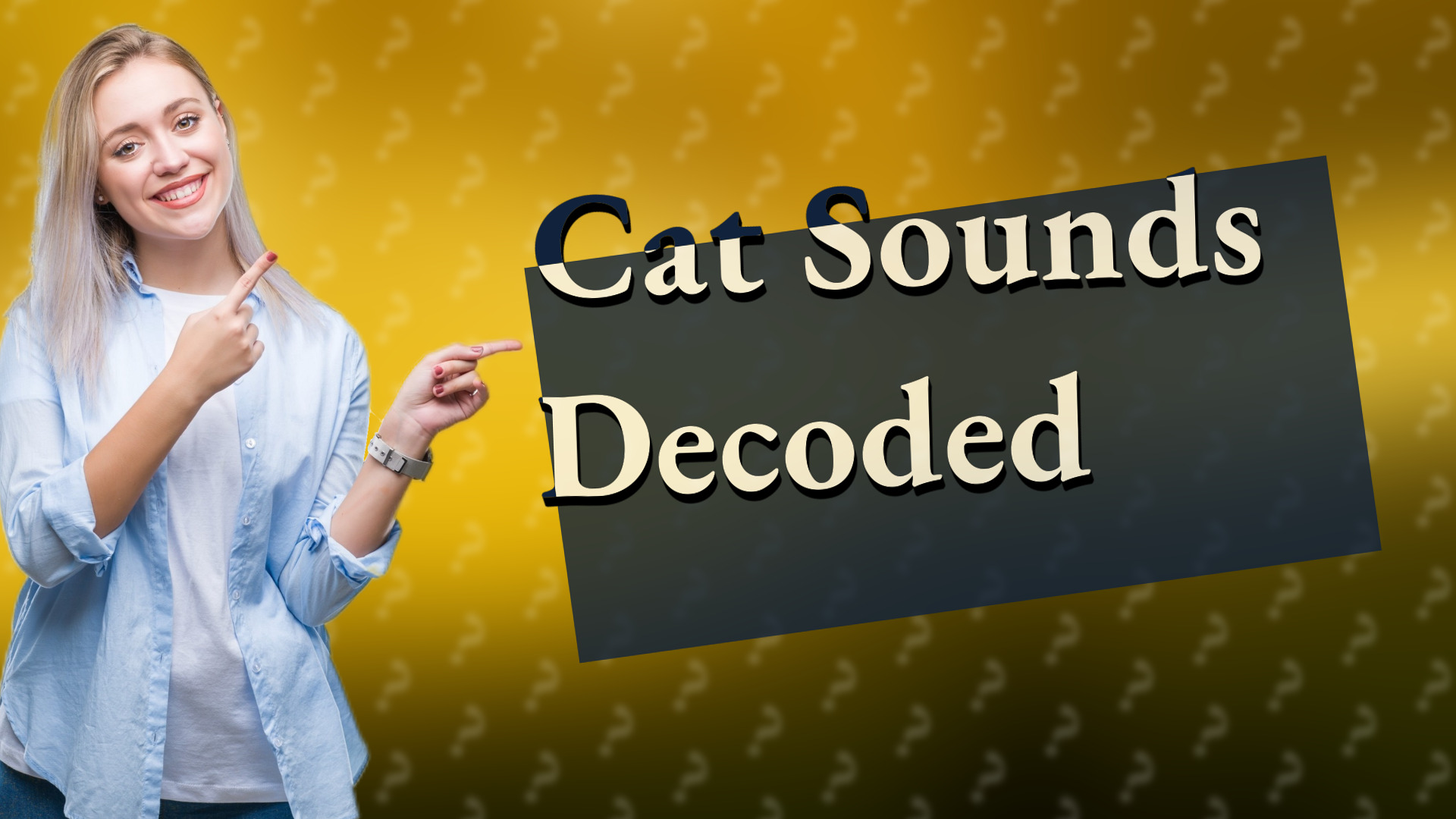 Cat Sounds Decoded
