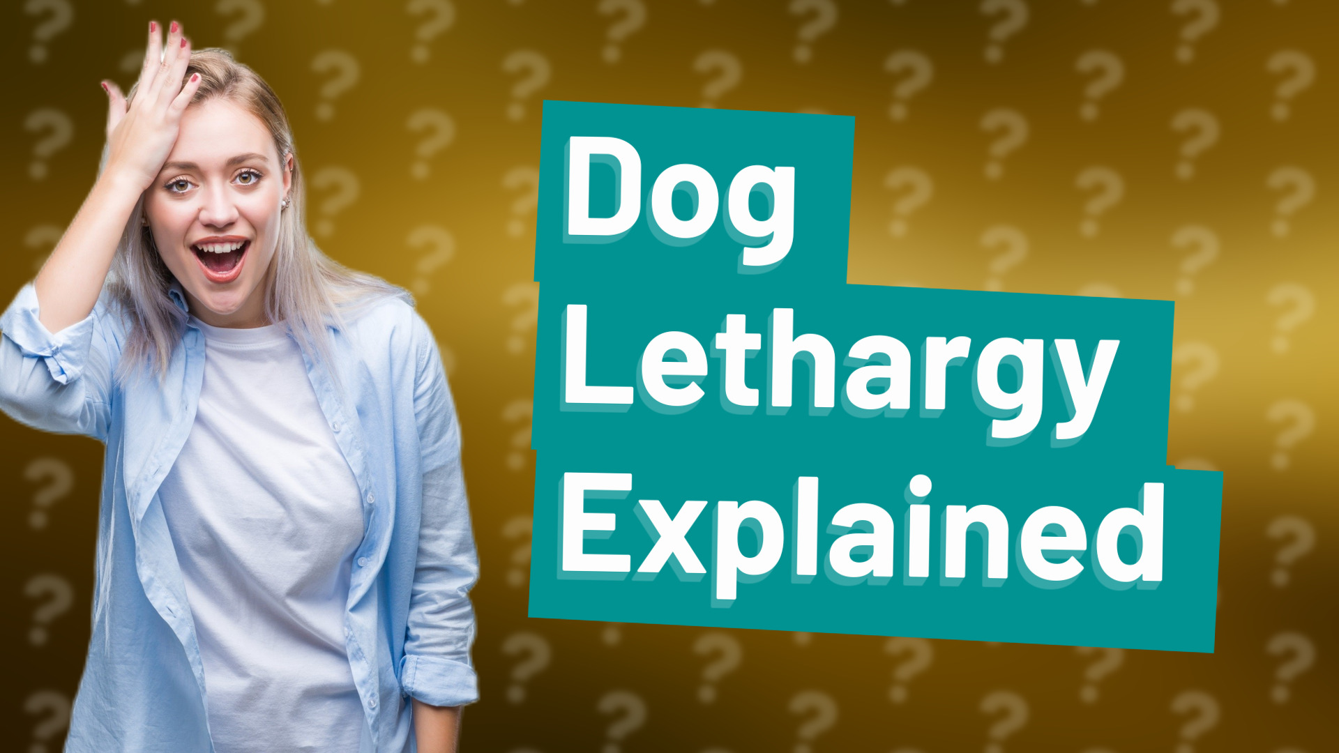 Dog Lethargy Explained