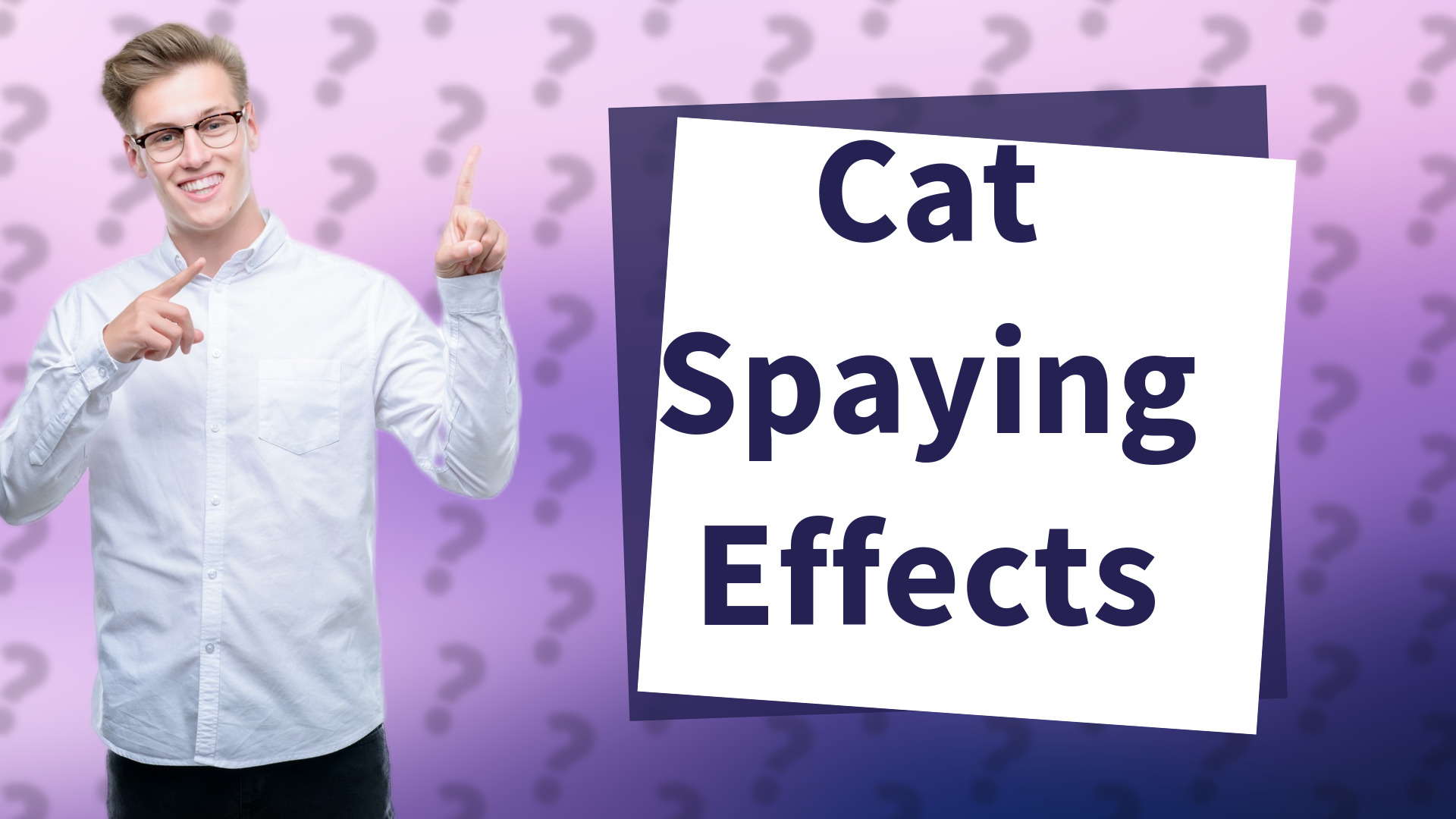 Cat Spaying Effects