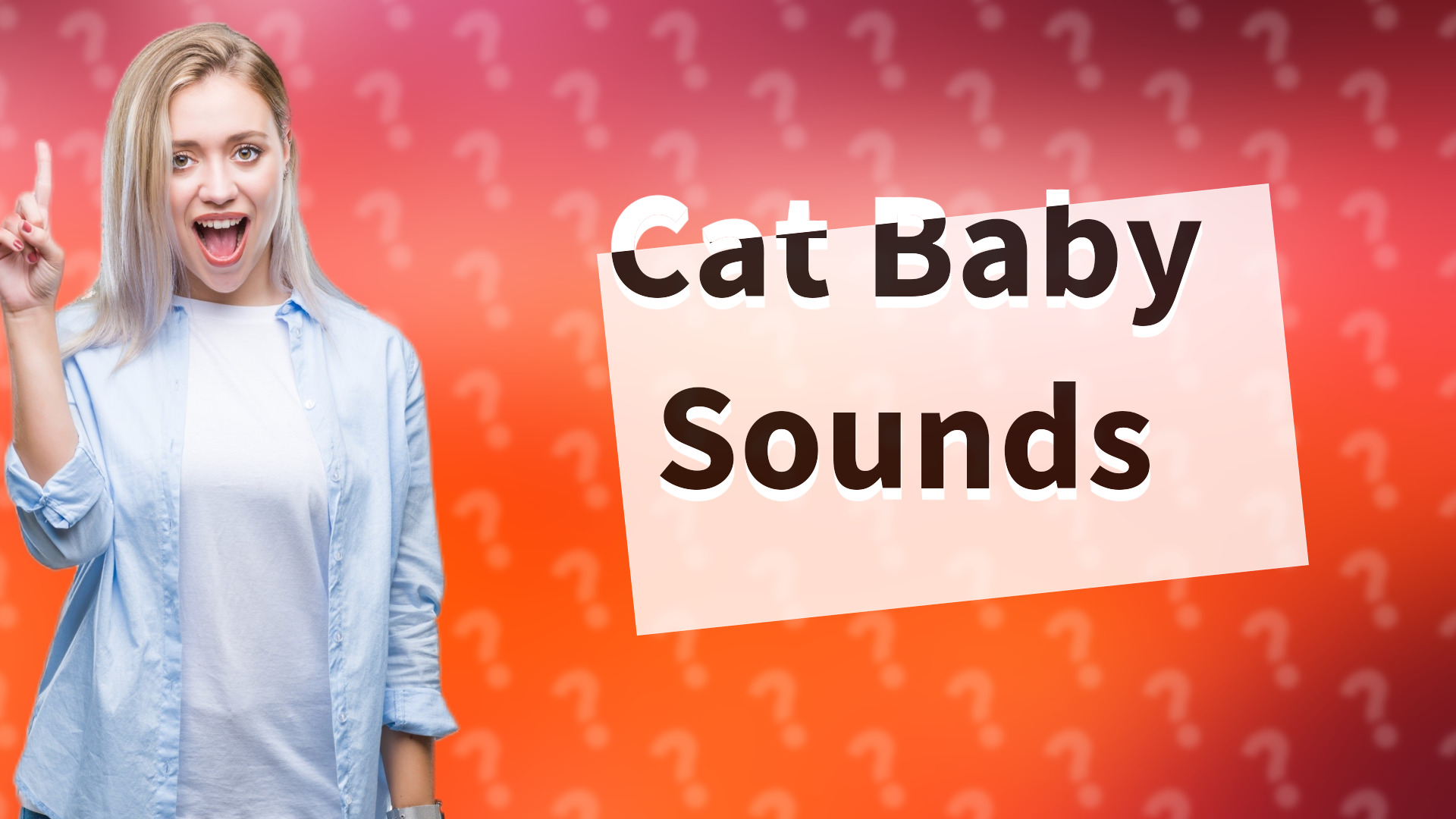 Cat Baby Sounds