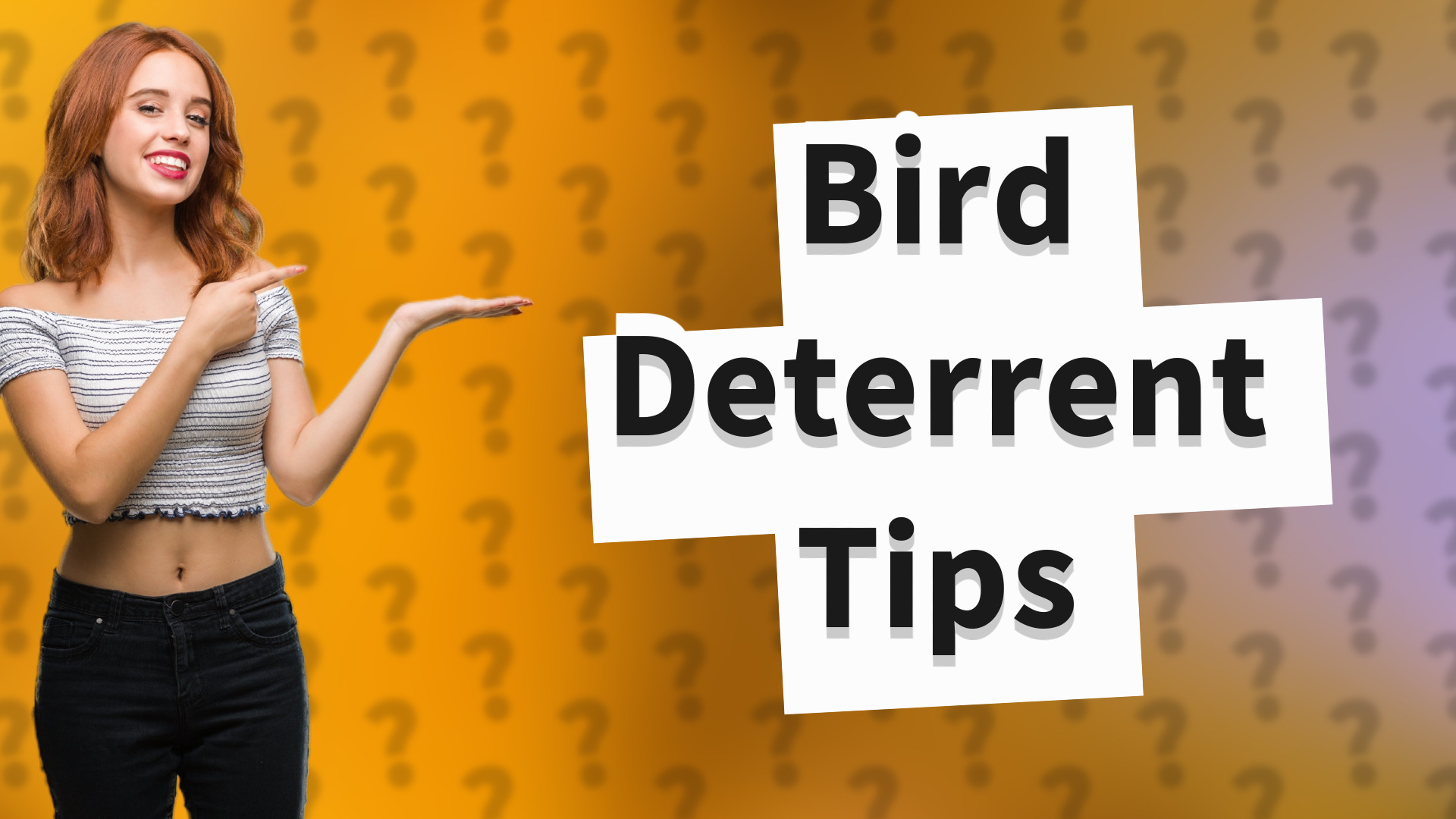Bird Deterrent Tips