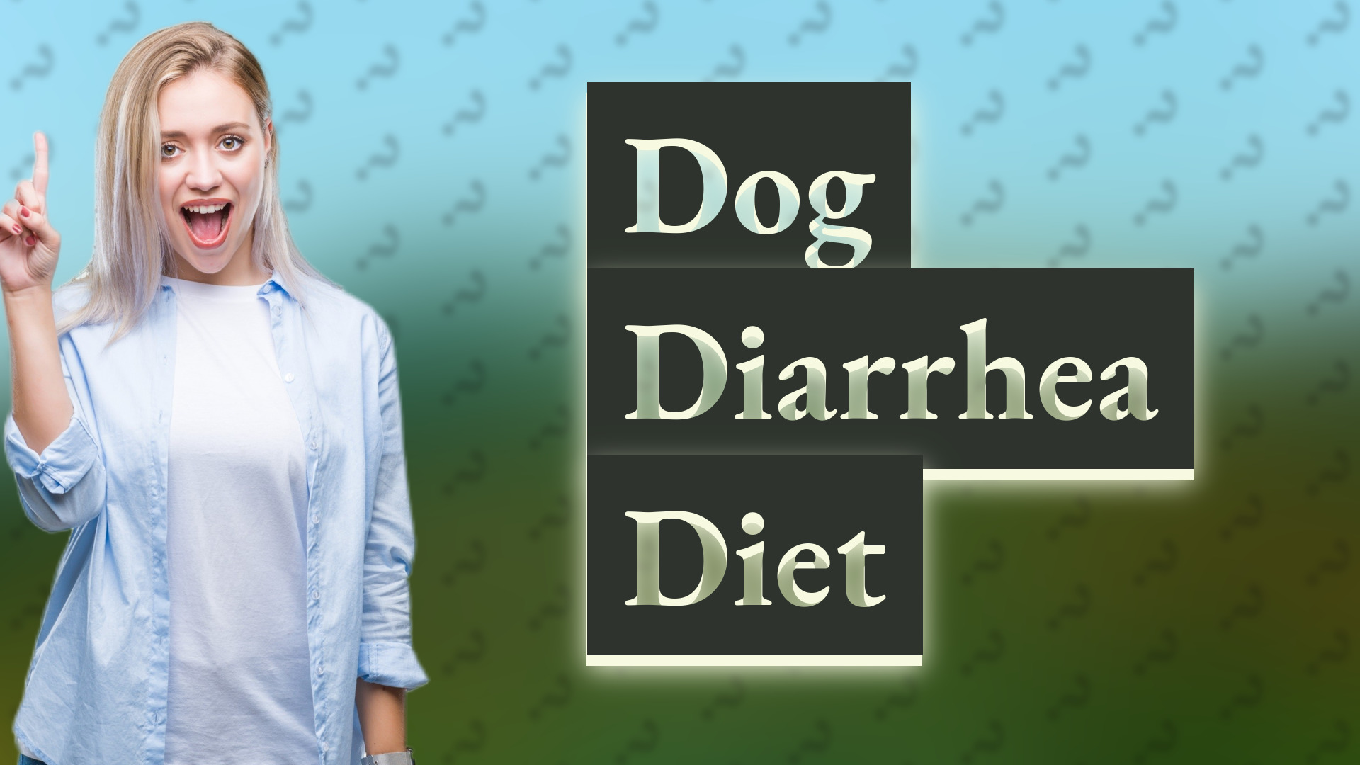 Dog Diarrhea Diet