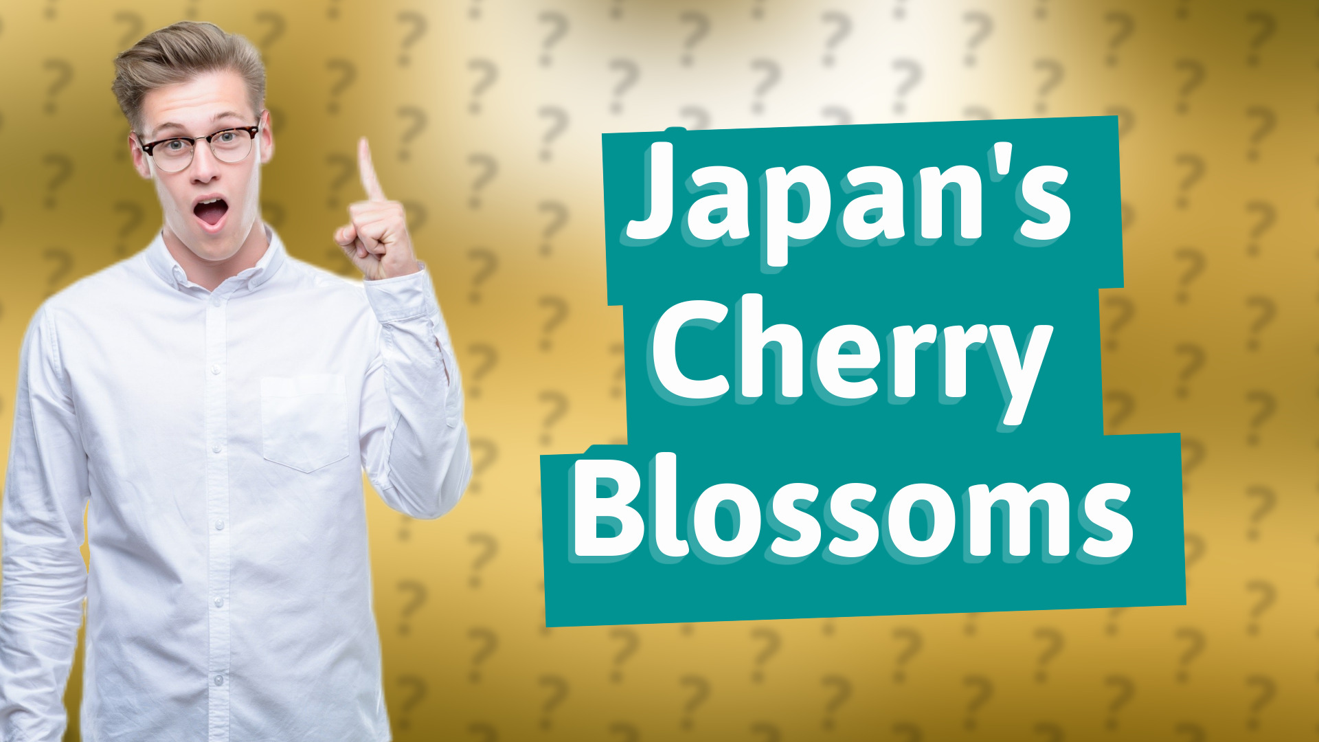 Japan's Cherry Blossoms