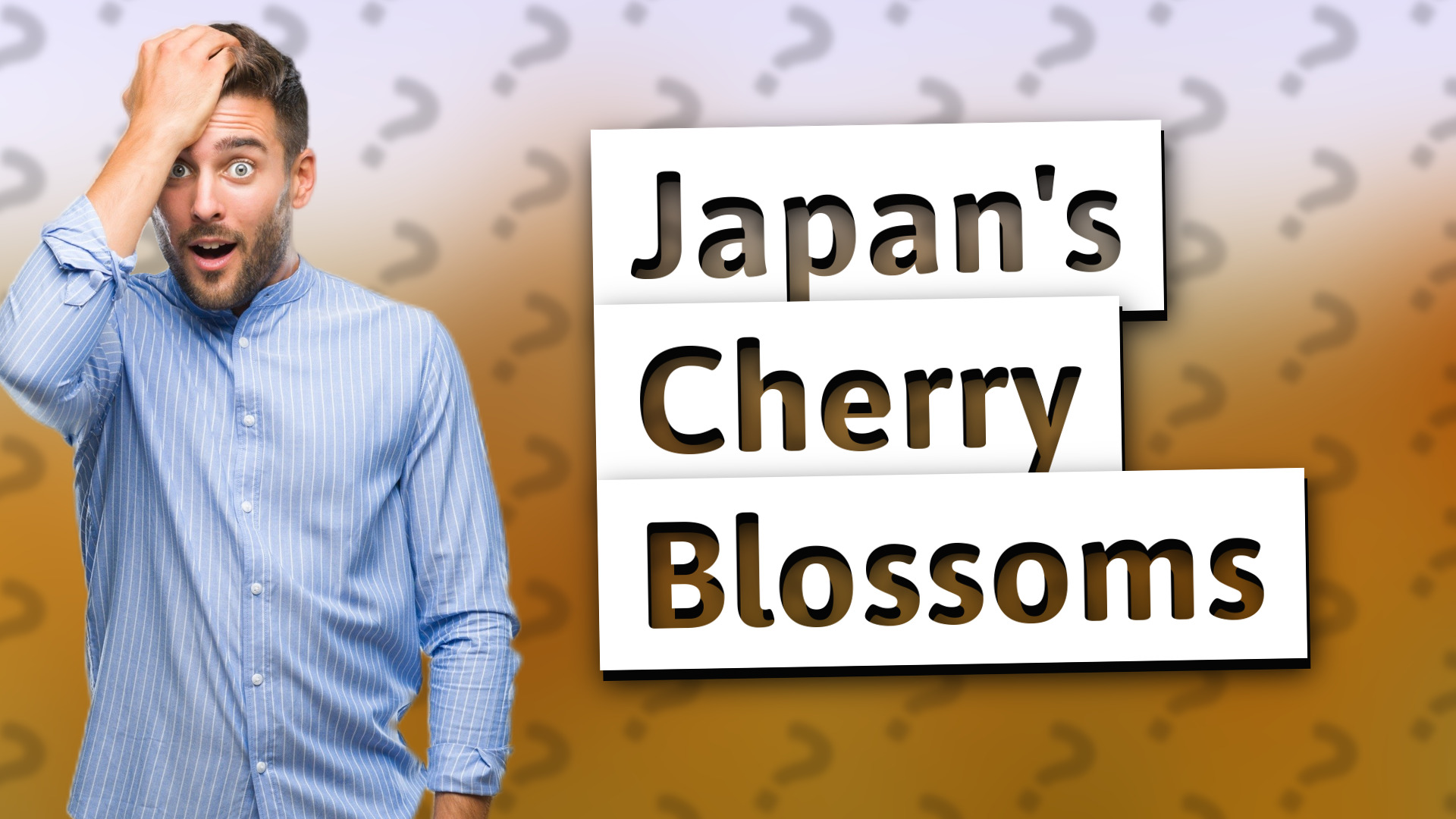Japan's Cherry Blossoms