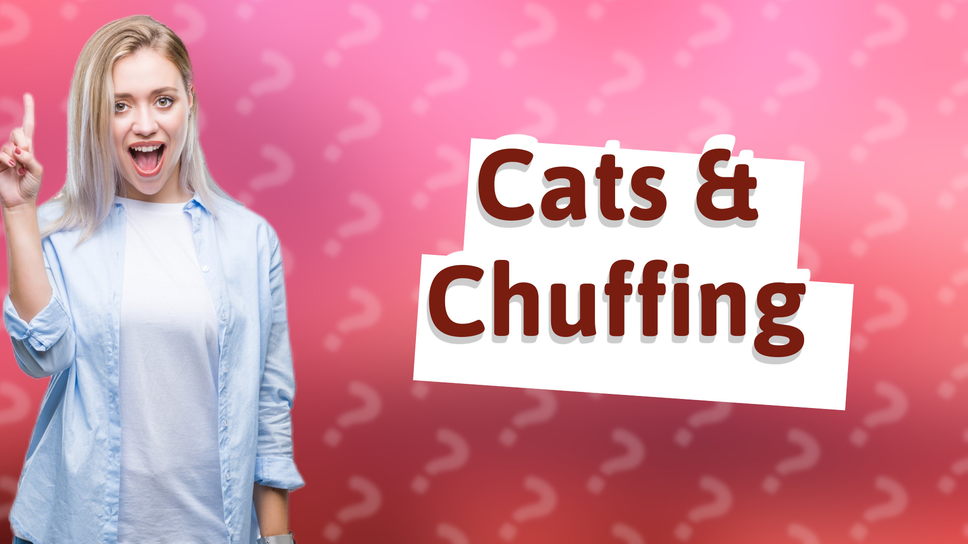 Cats & Chuffing