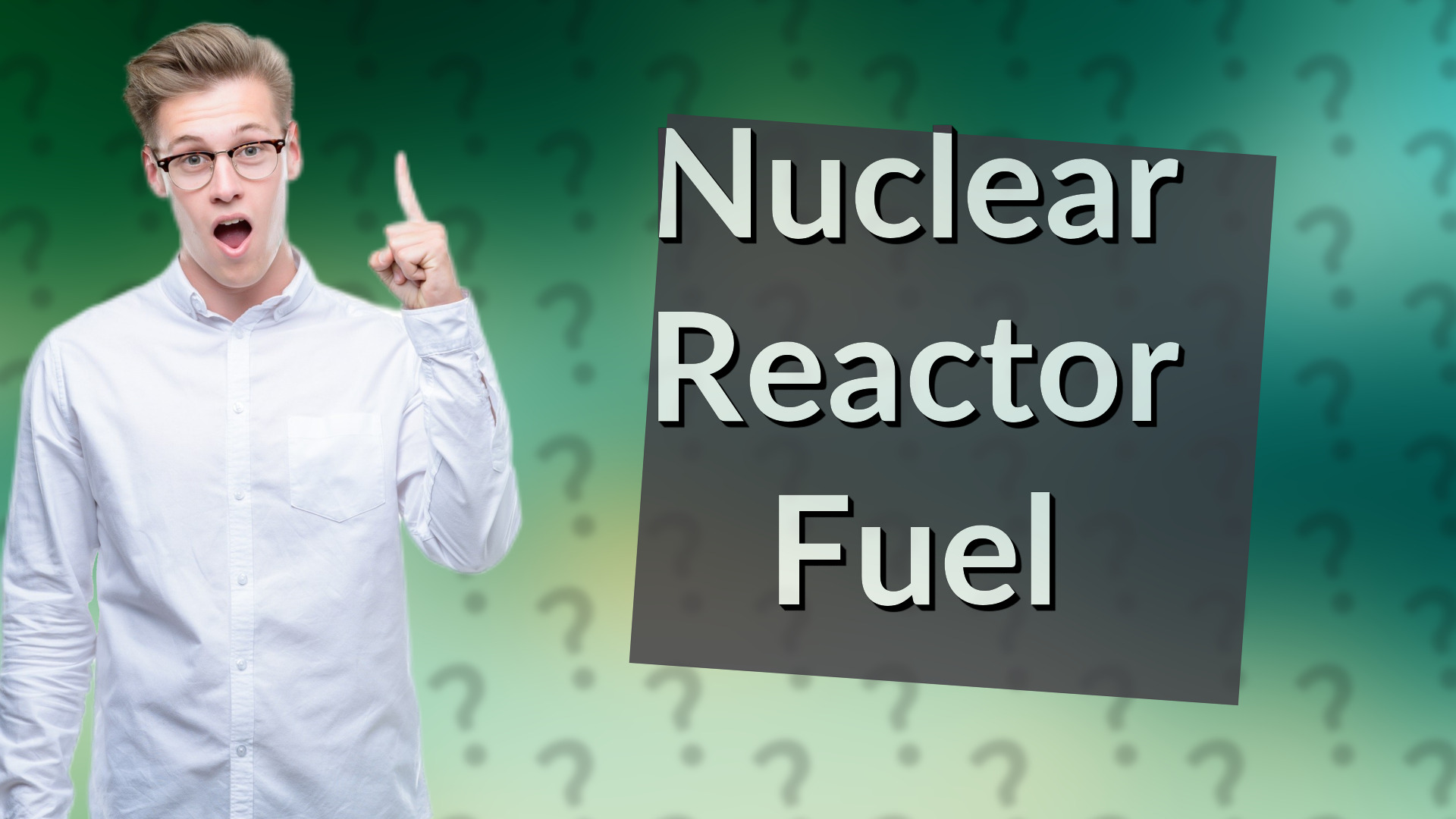 Nuclear Reactor Fuel