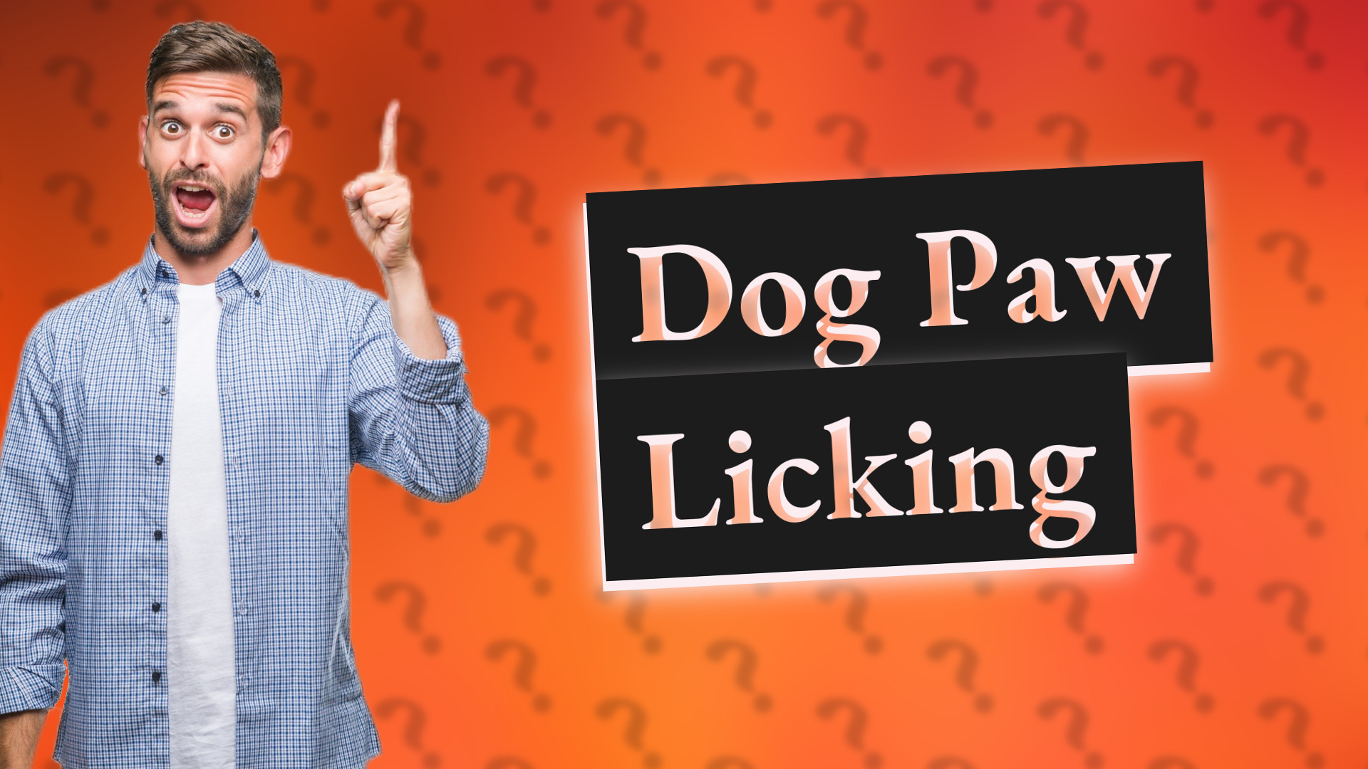 Dog Paw Licking
