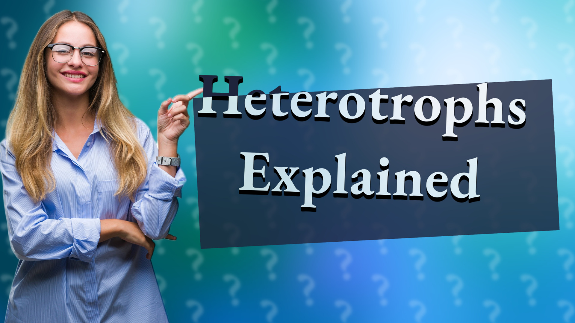 Heterotrophs Explained
