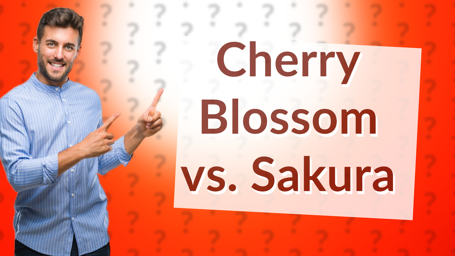 Cherry Blossom vs. Sakura
