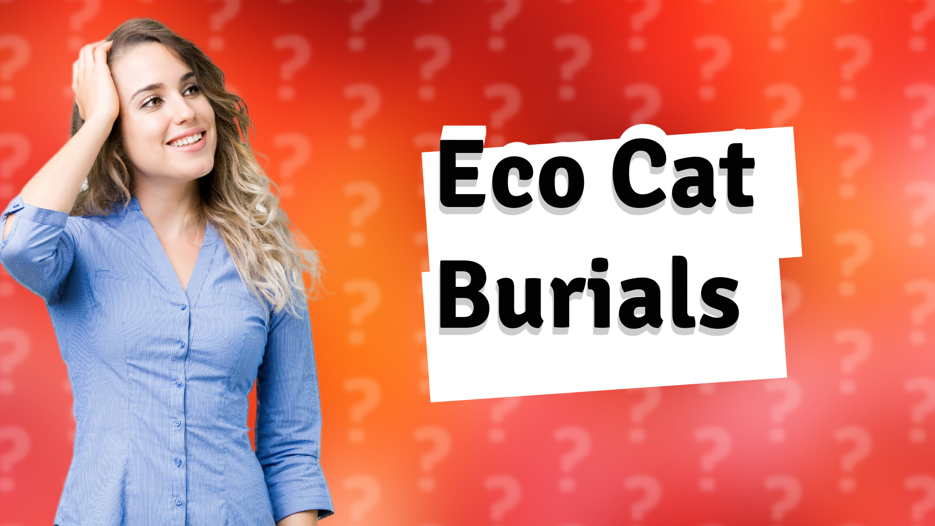 Eco Cat Burials
