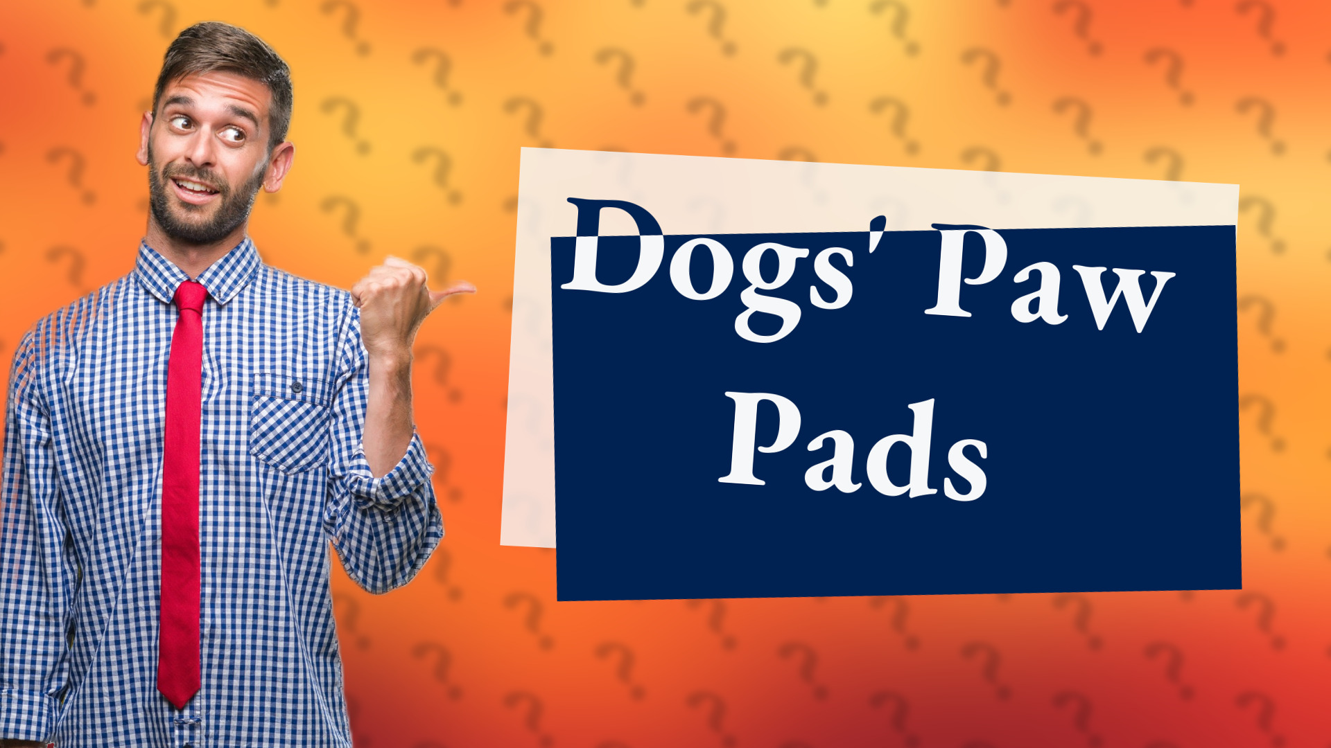 Dogs' Paw Pads