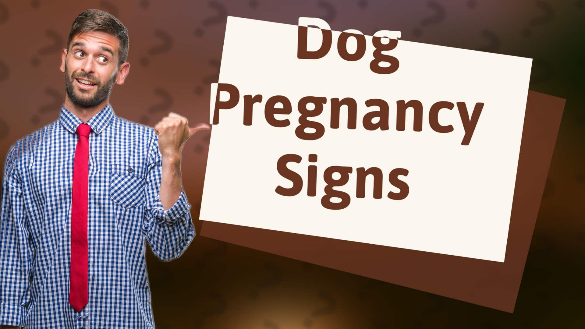 Dog Pregnancy Signs