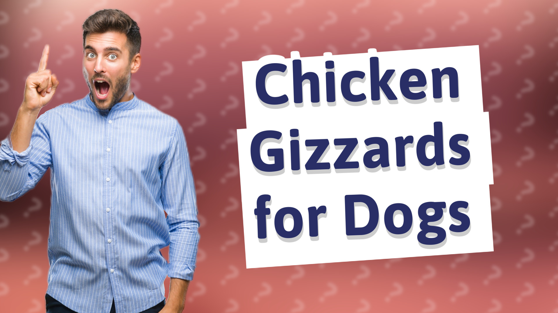 Chicken Gizzards for Dogs