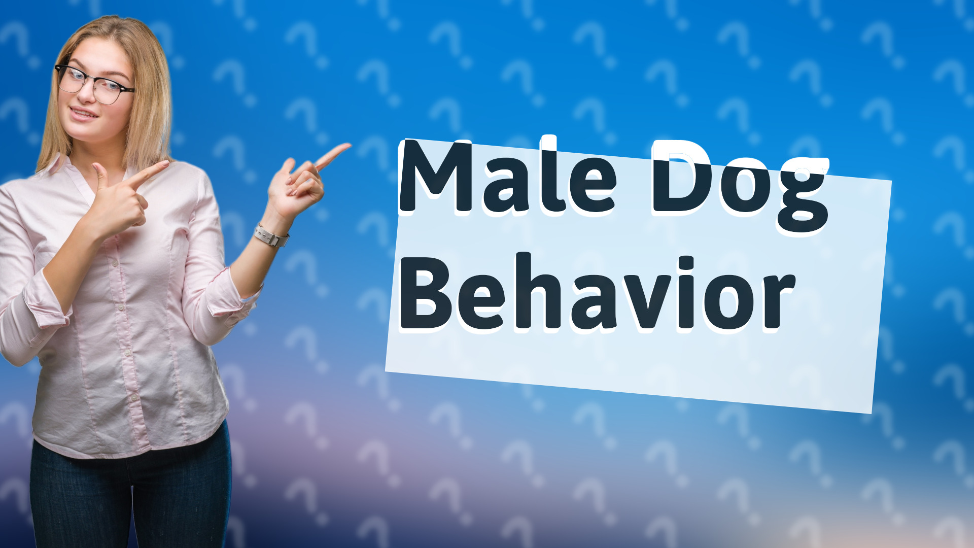 Male Dog Behavior