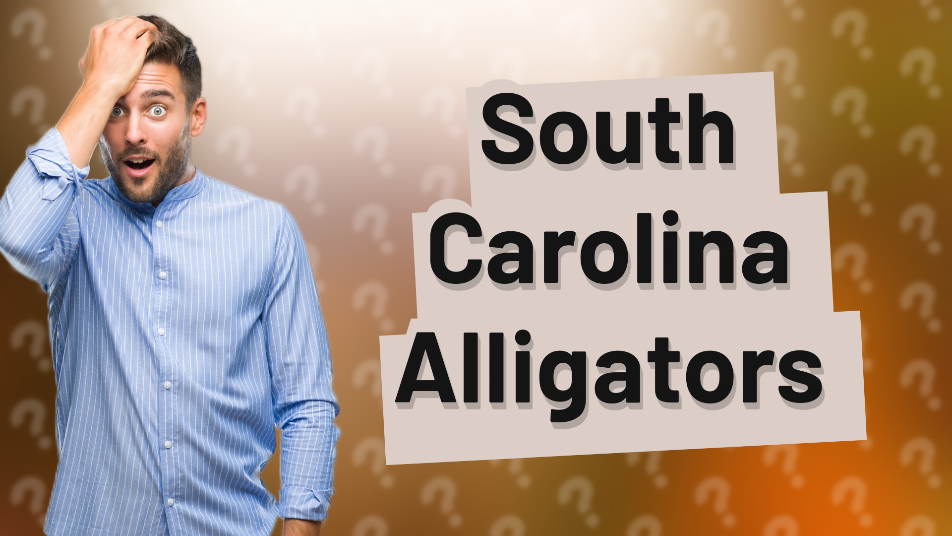 South Carolina Alligators