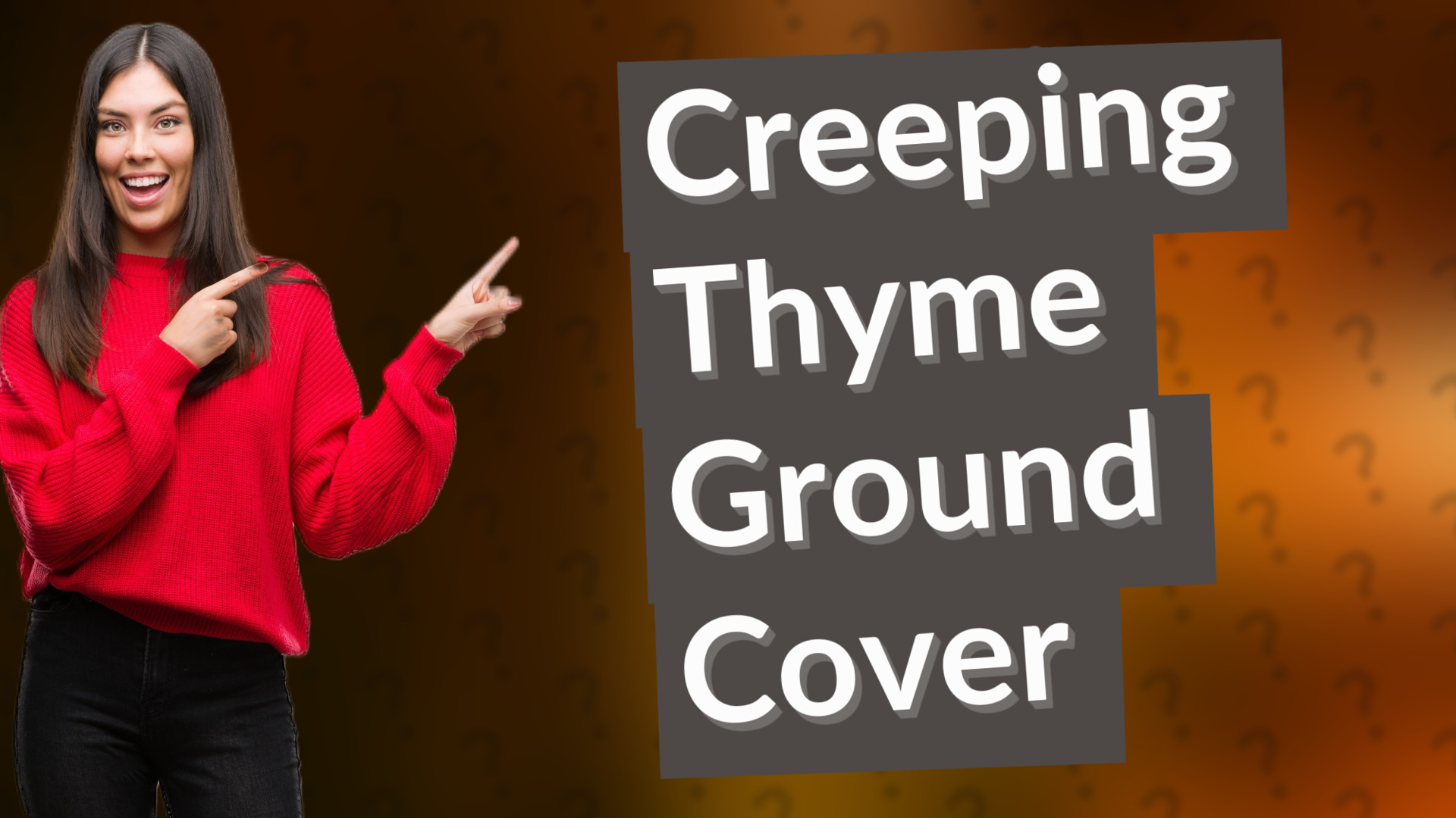 Creeping Thyme Ground Cover