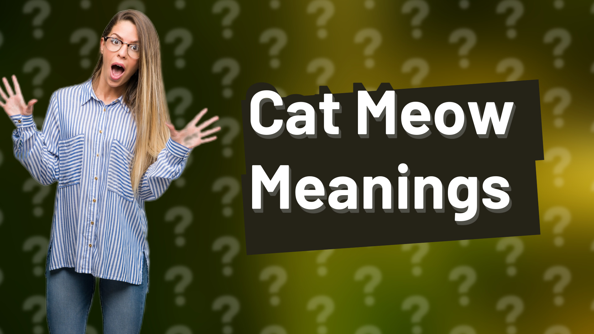 Cat Meow Meanings