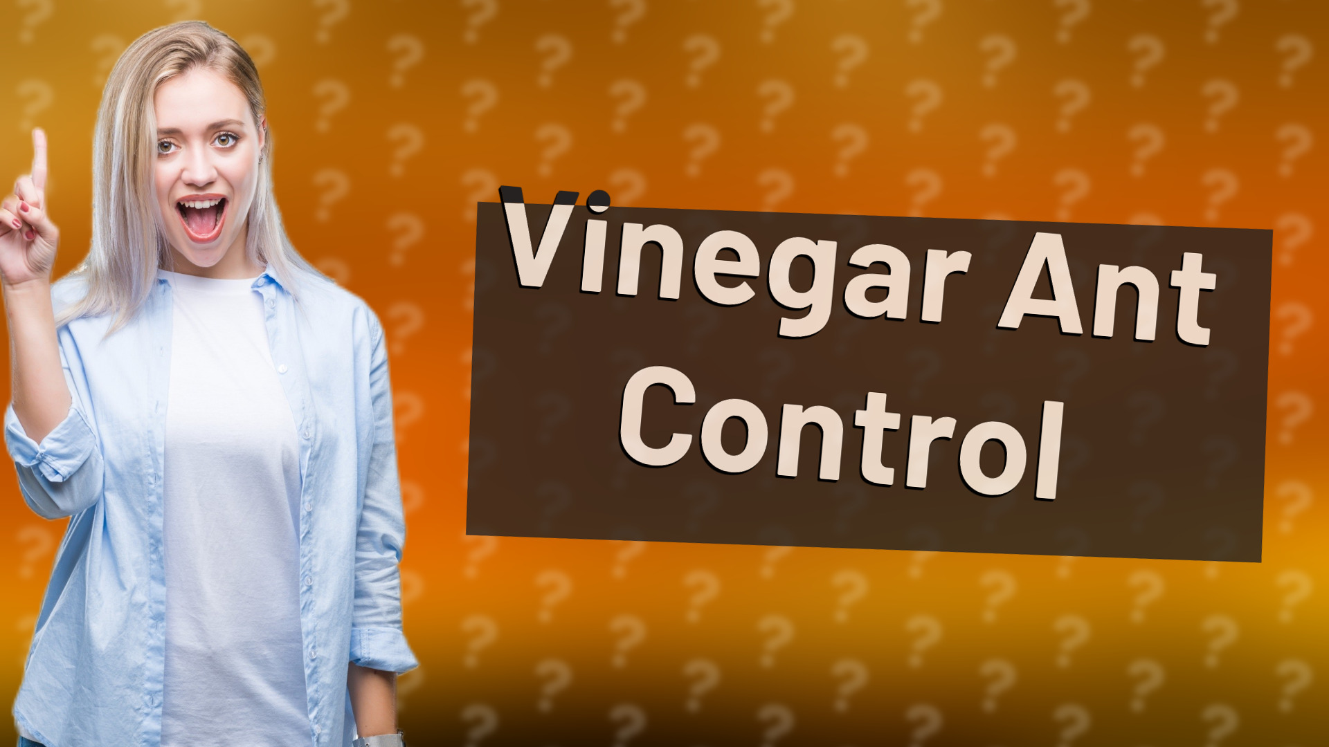 Vinegar Ant Control