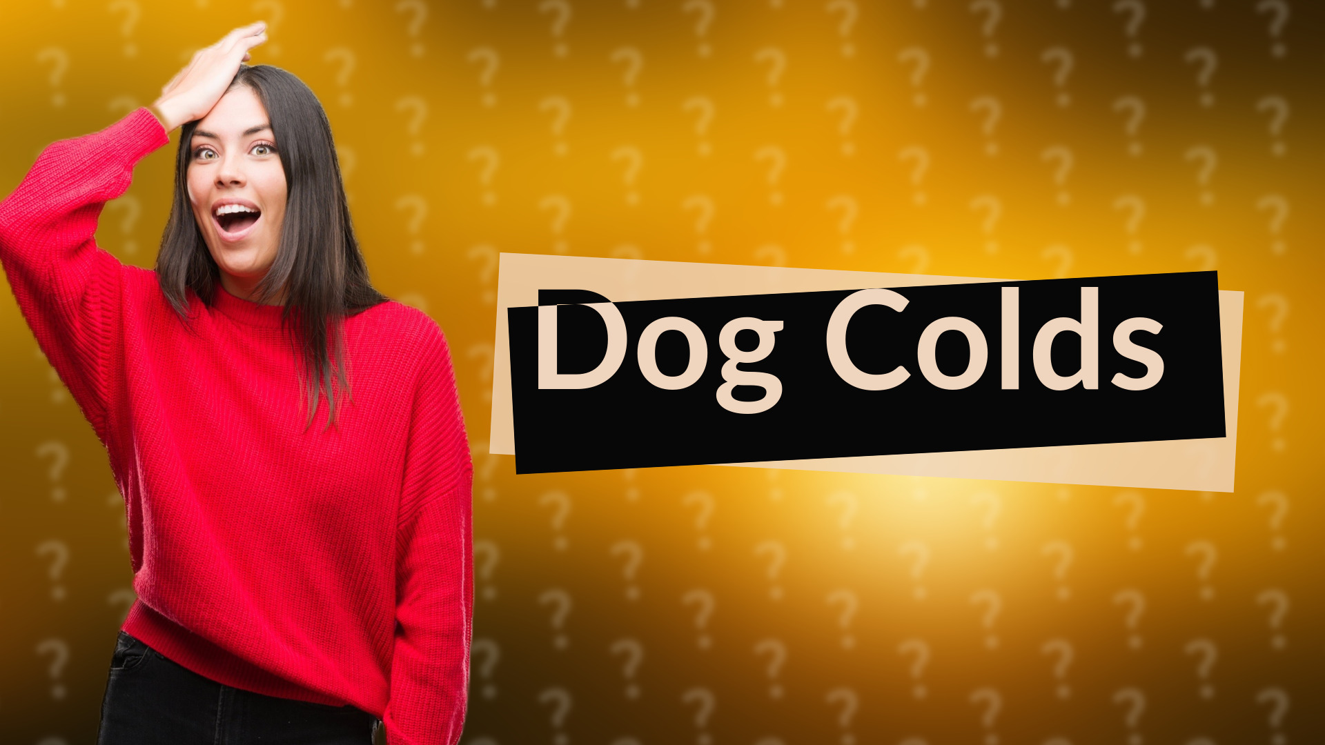 Dog Colds