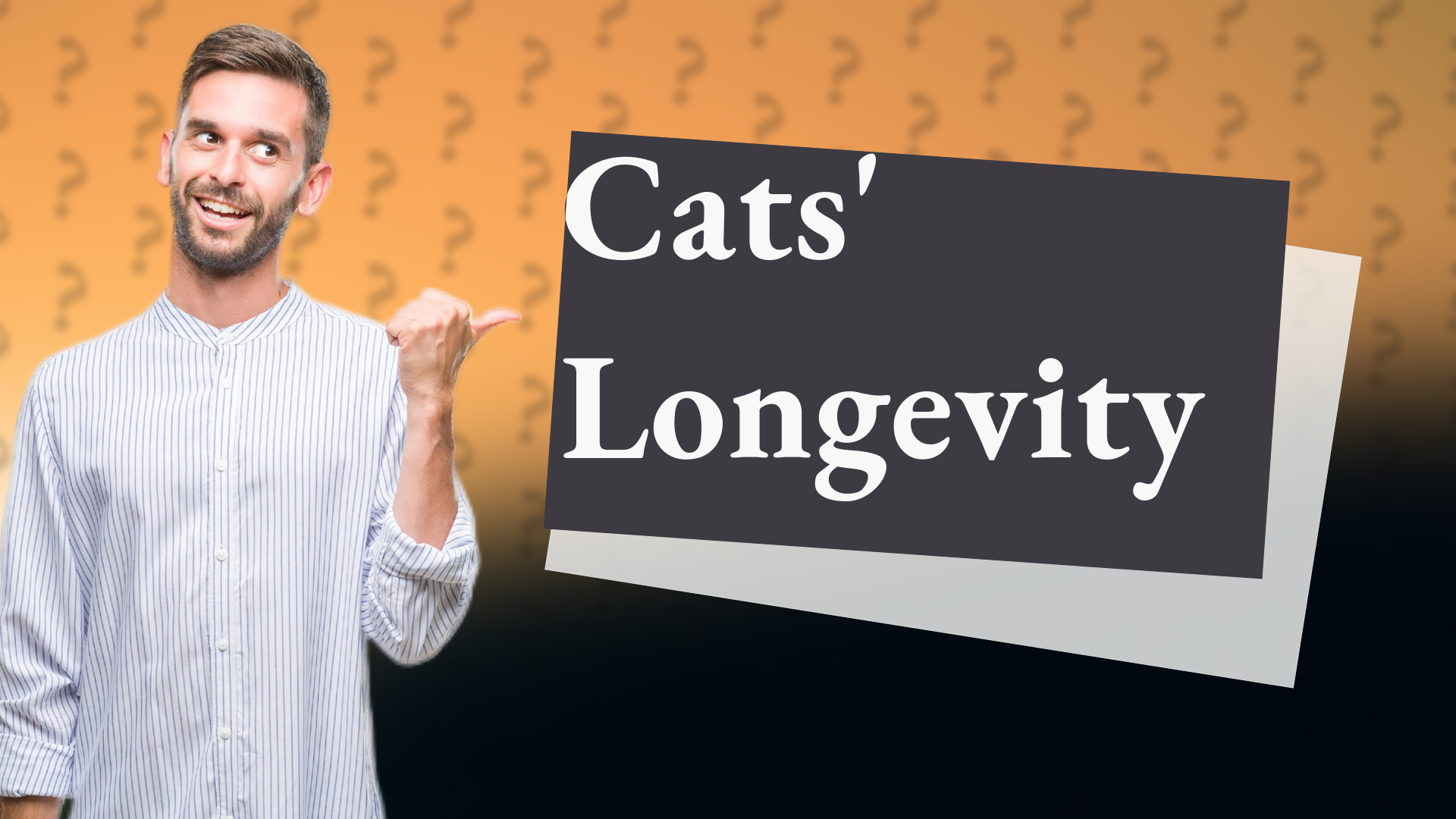 Cats' Longevity