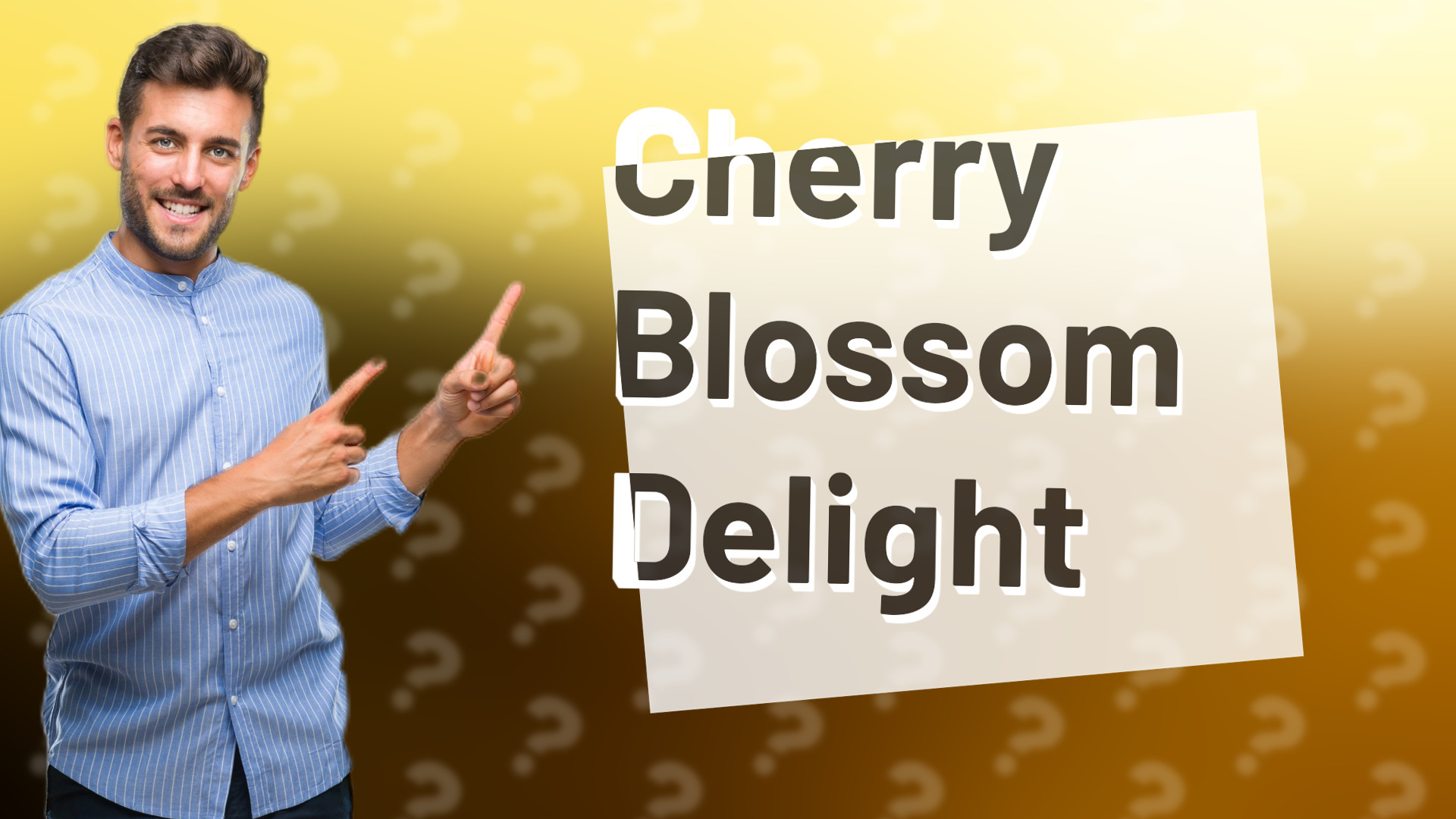 Cherry Blossom Delight