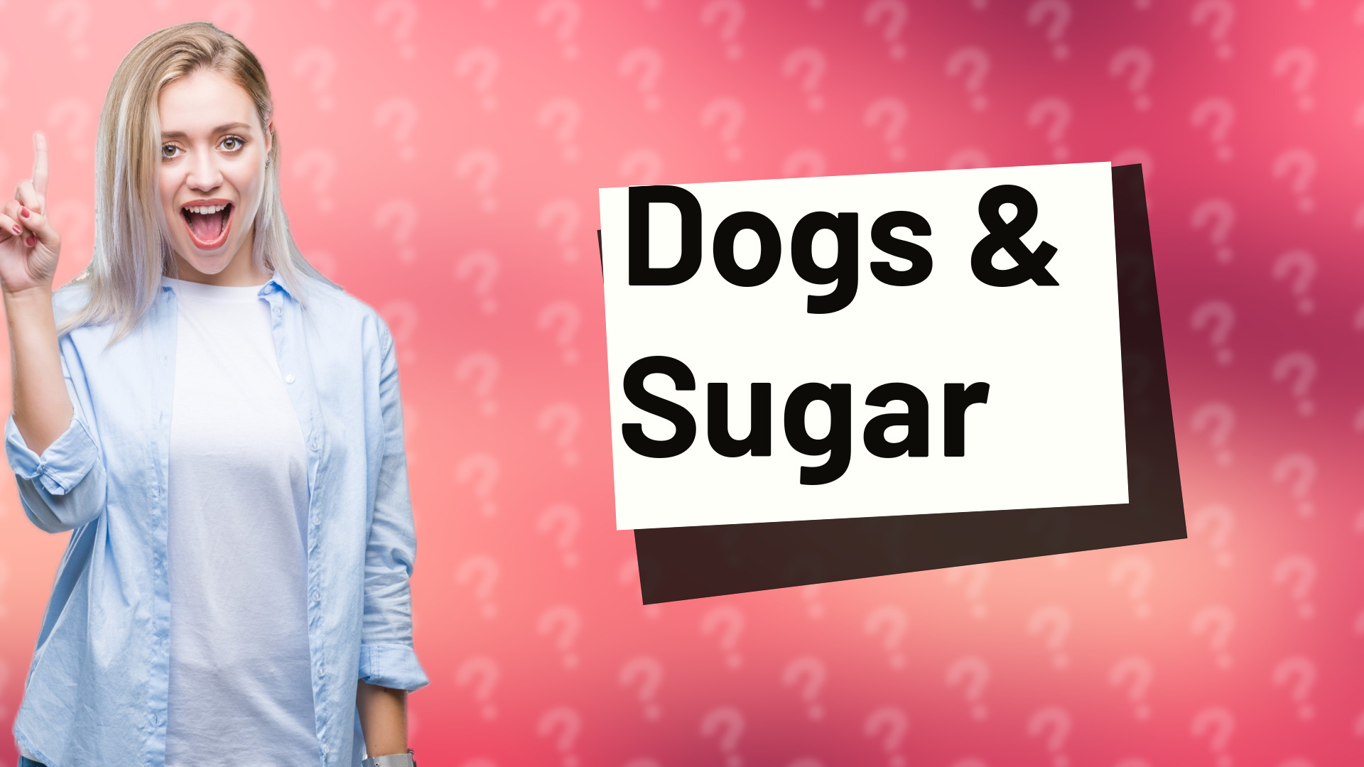 Dogs & Sugar