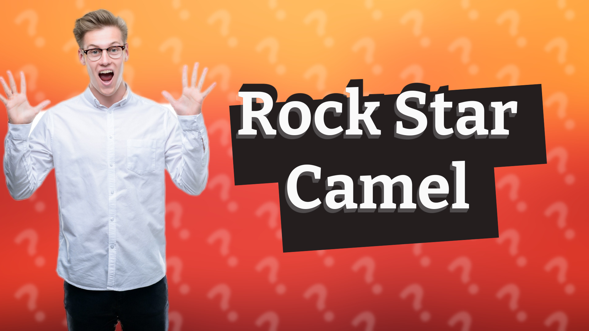Rock Star Camel