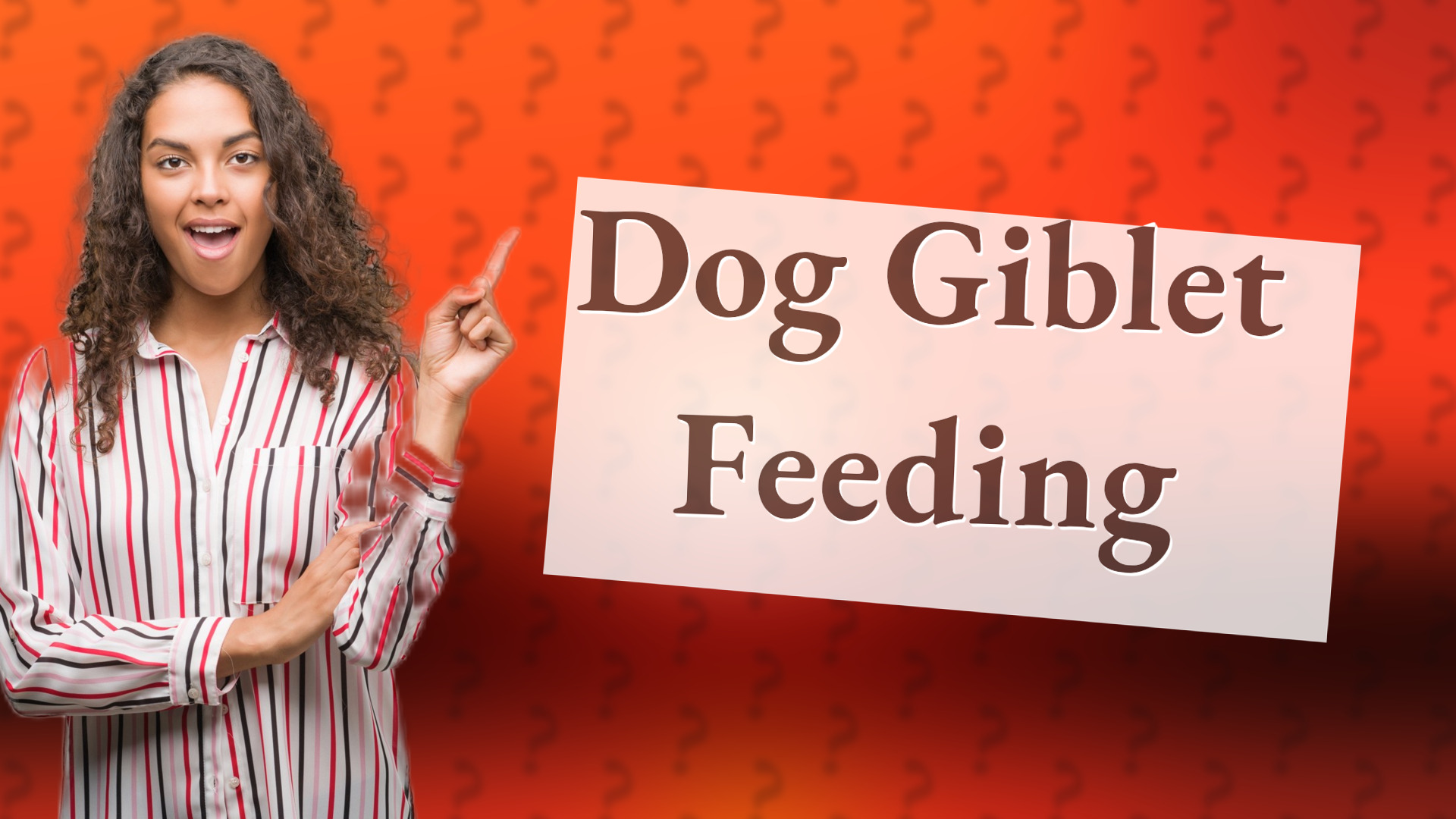 Dog Giblet Feeding