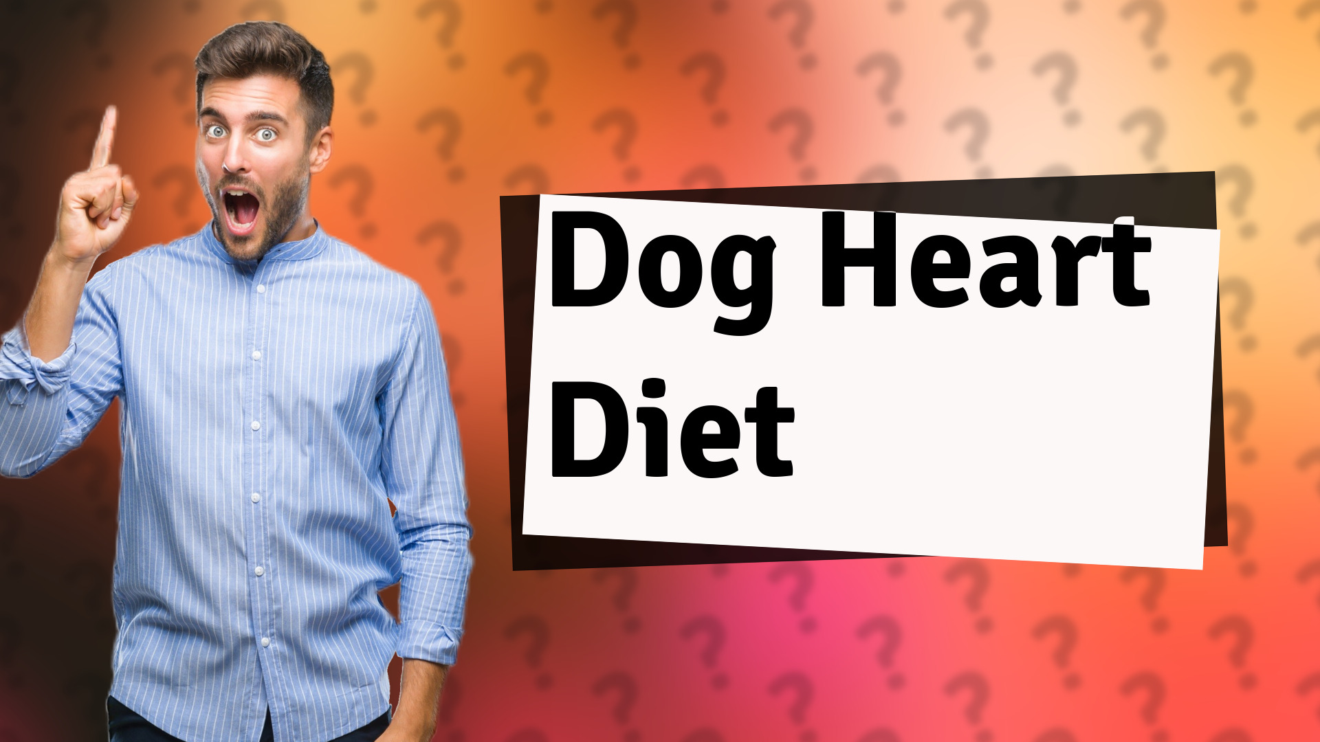 Dog Heart Diet
