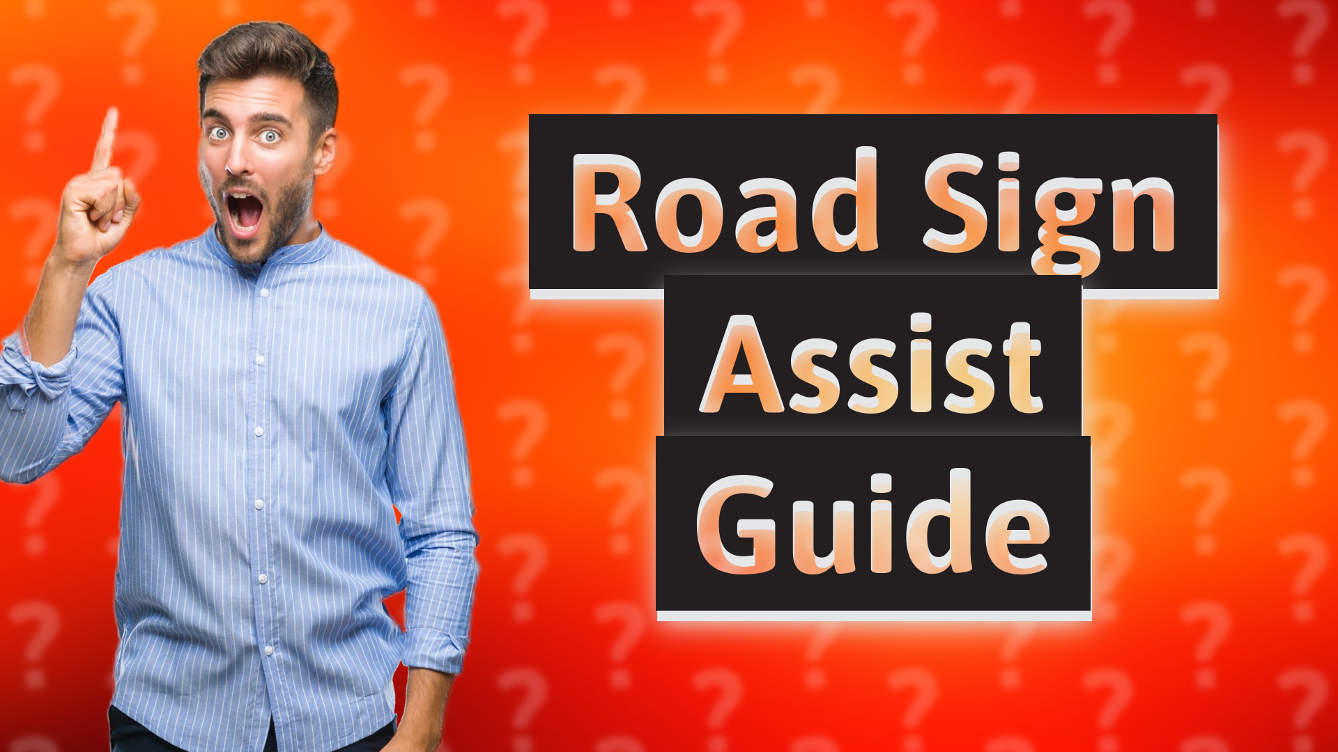 Road Sign Assist Guide