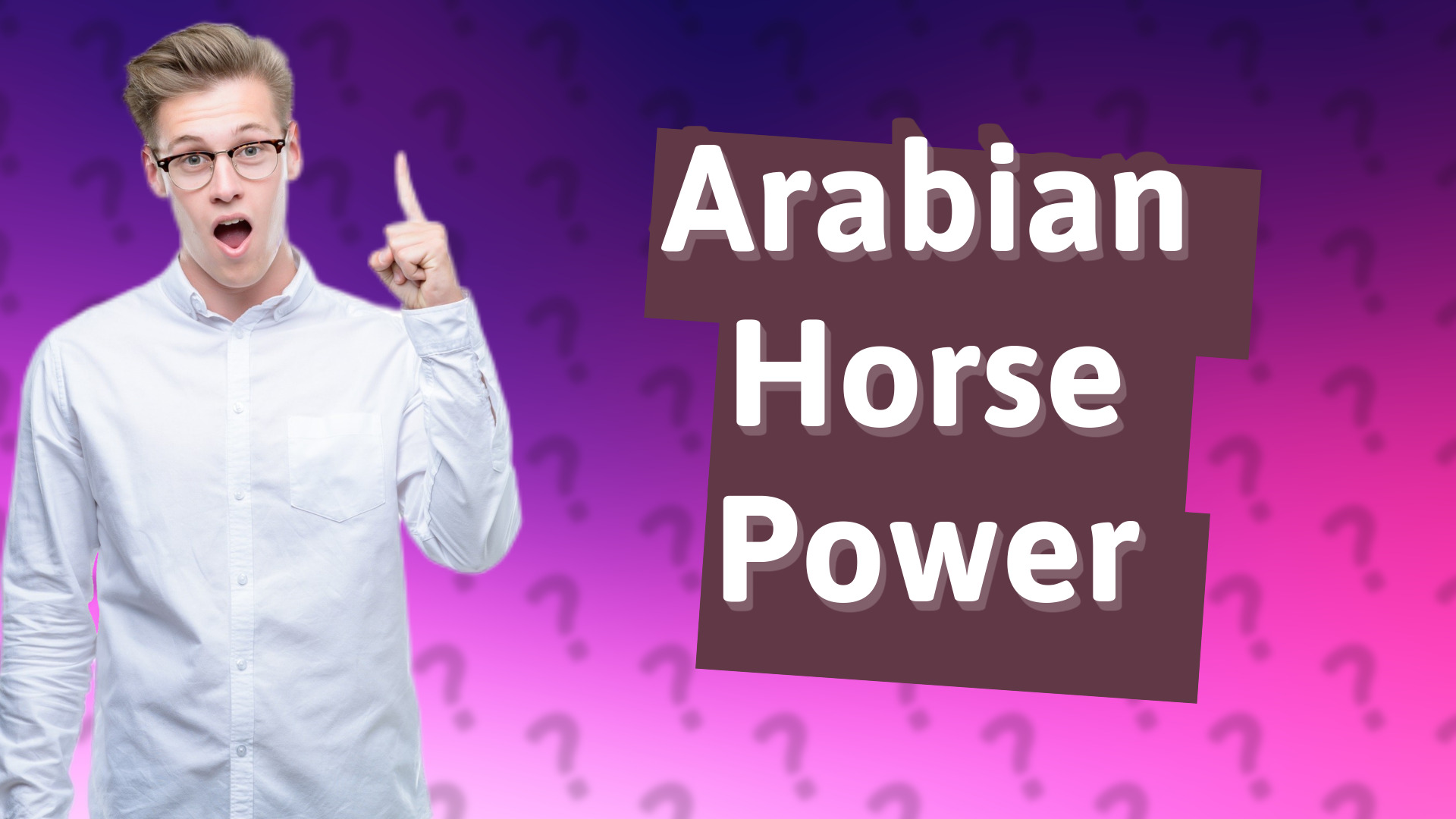 Arabian Horse Power
