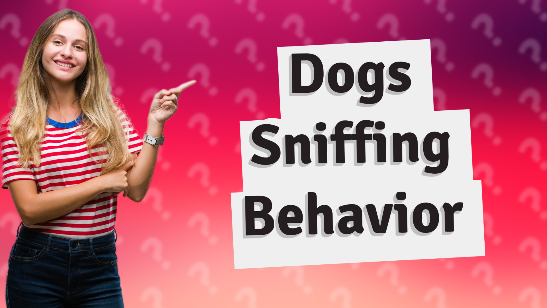 Dogs Sniffing Behavior