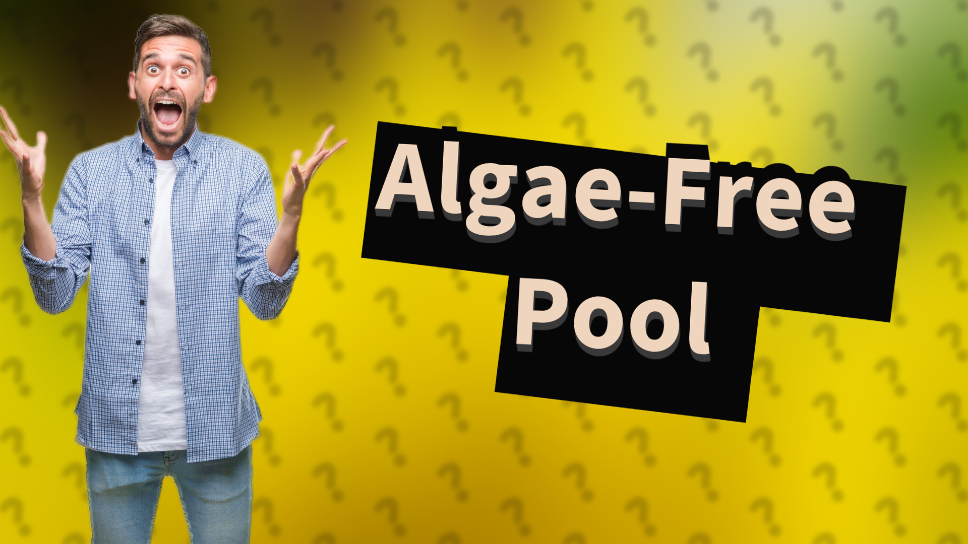 Algae-Free Pool