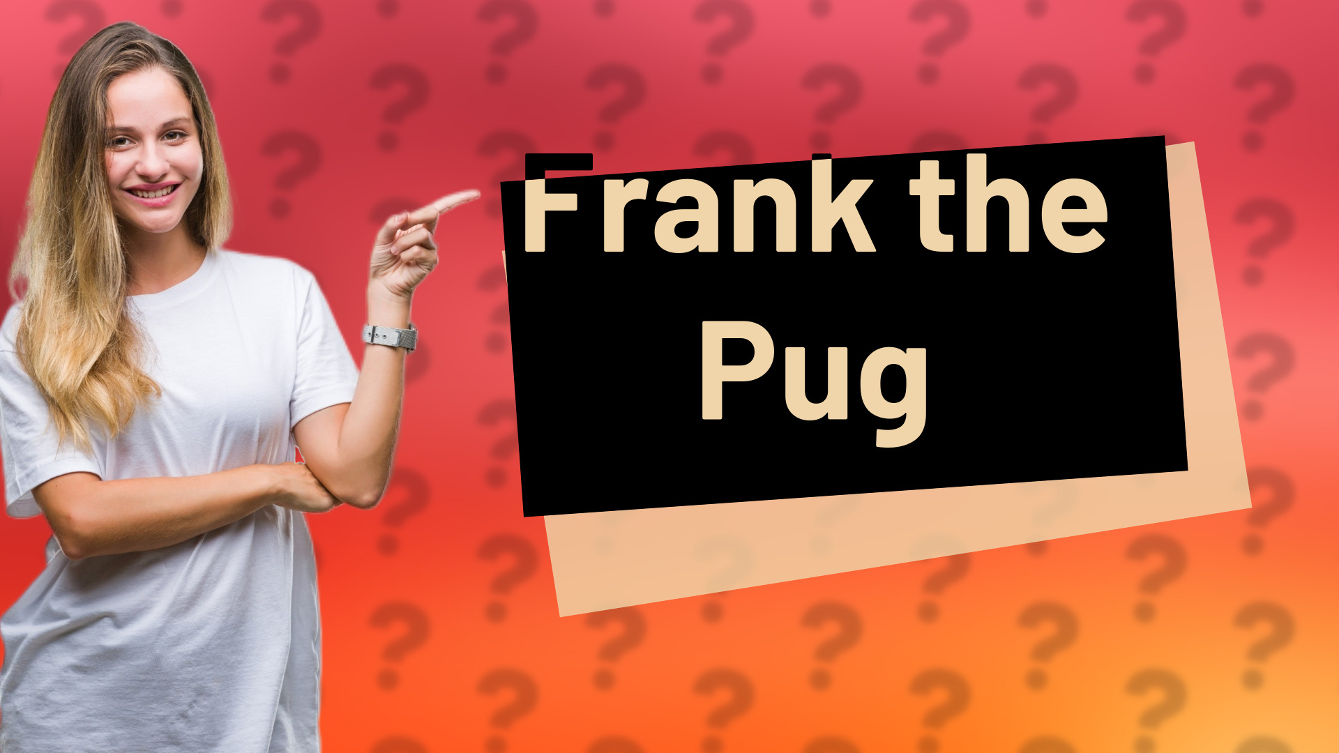 Frank the Pug