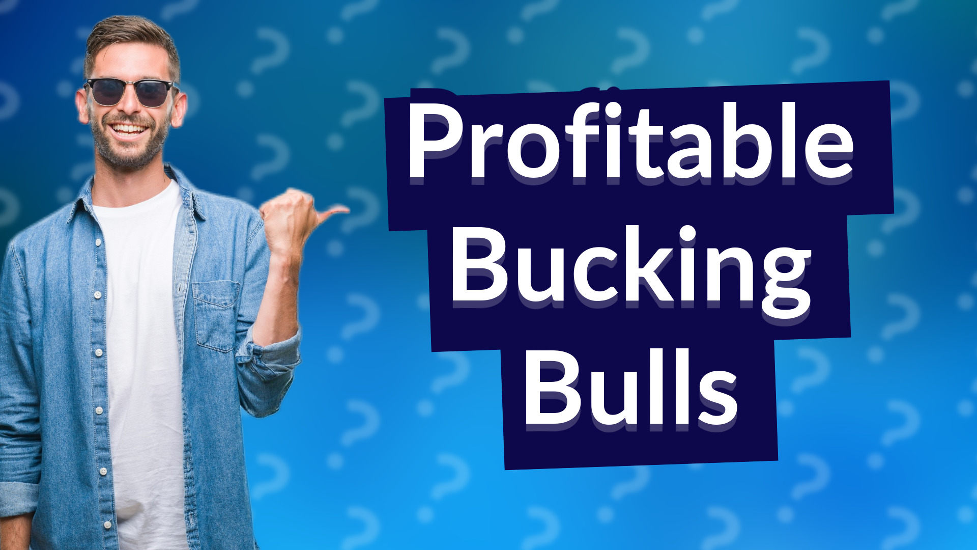 Profitable Bucking Bulls