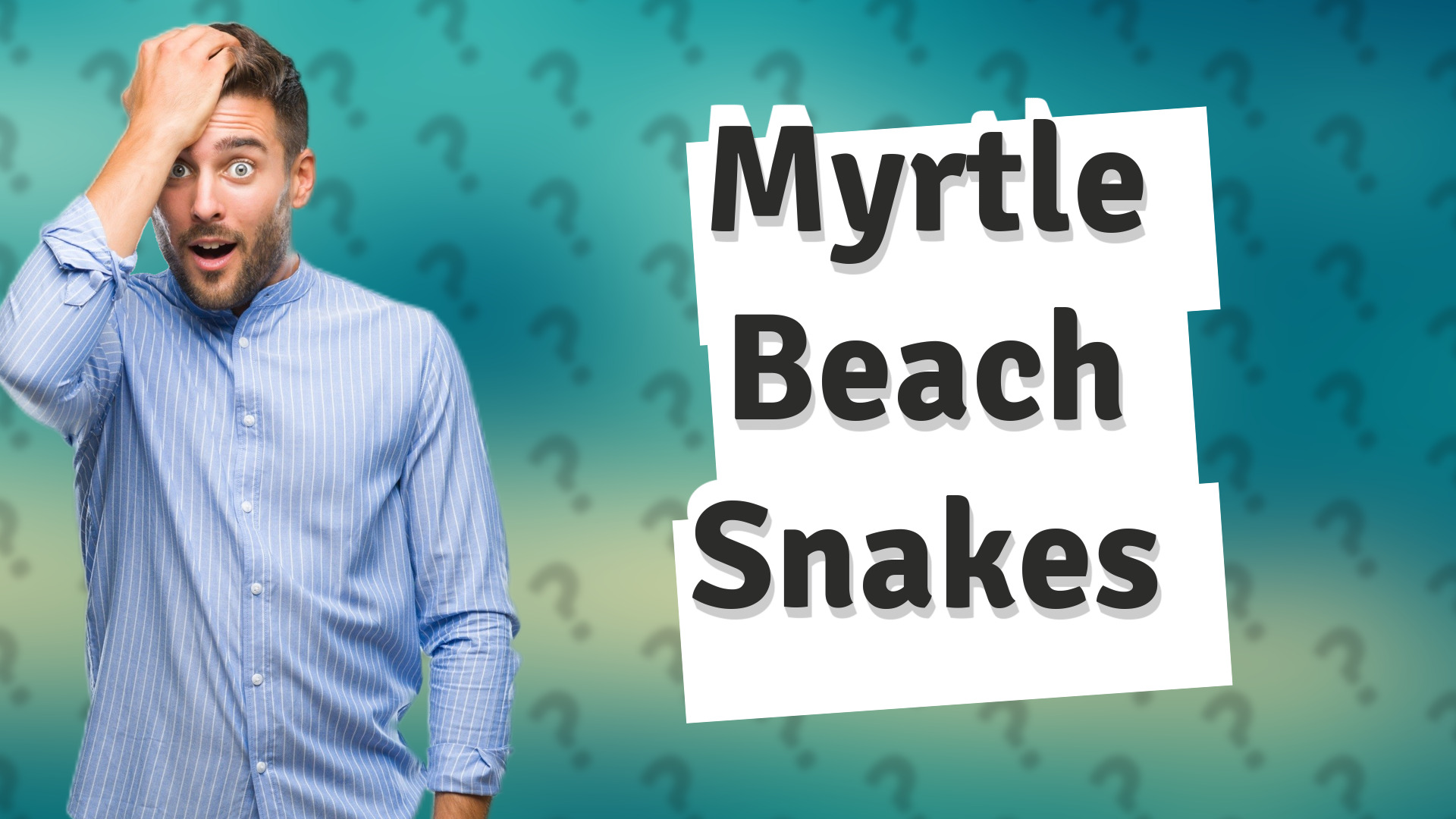 Myrtle Beach Snakes