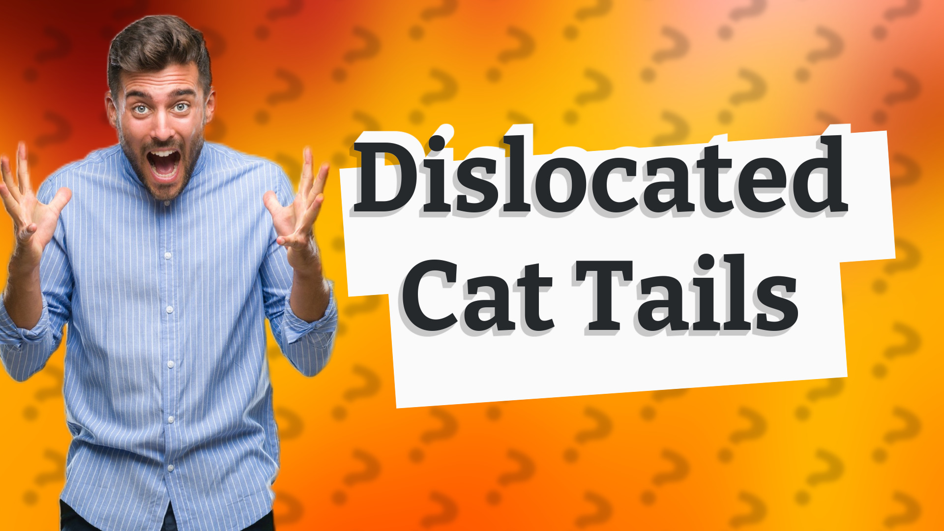 Dislocated Cat Tails