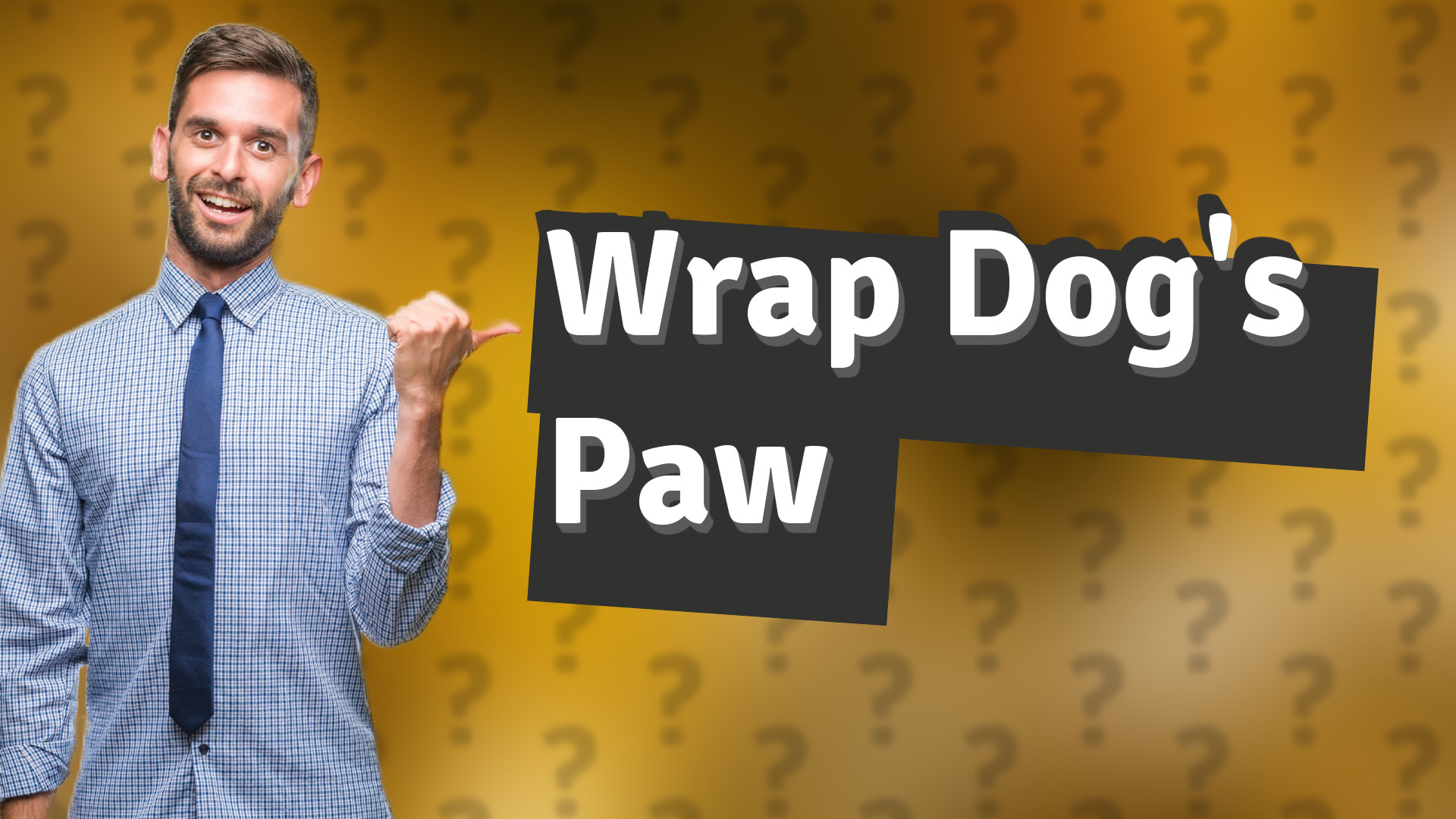 Wrap Dog's Paw