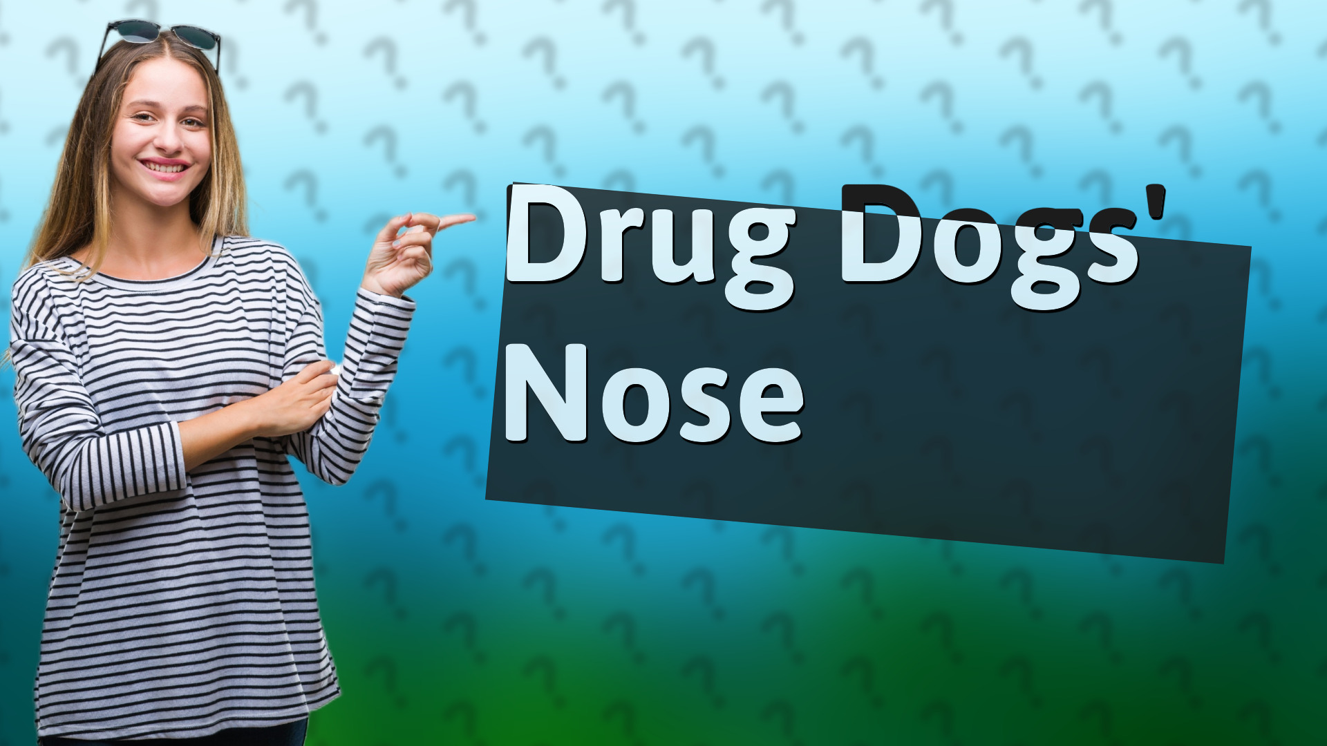 Drug Dogs' Nose