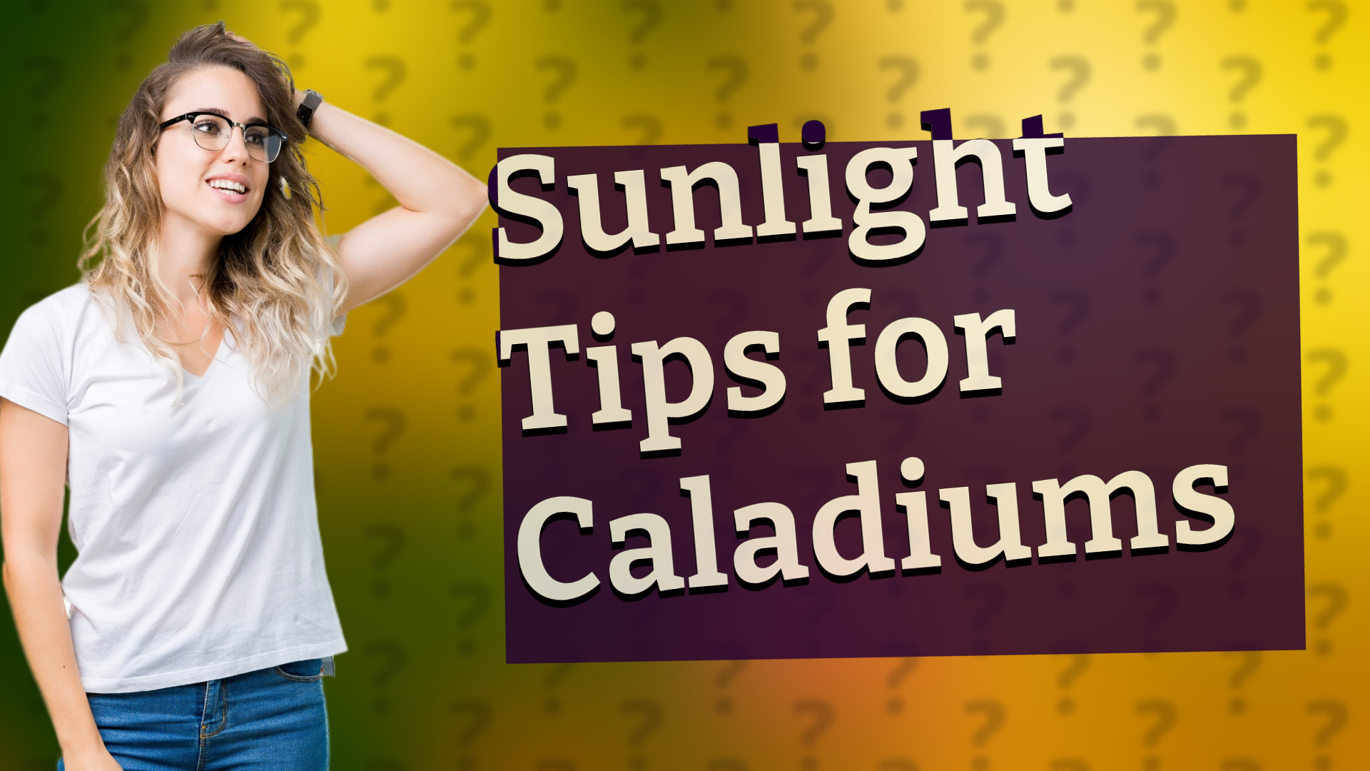 Sunlight Tips for Caladiums