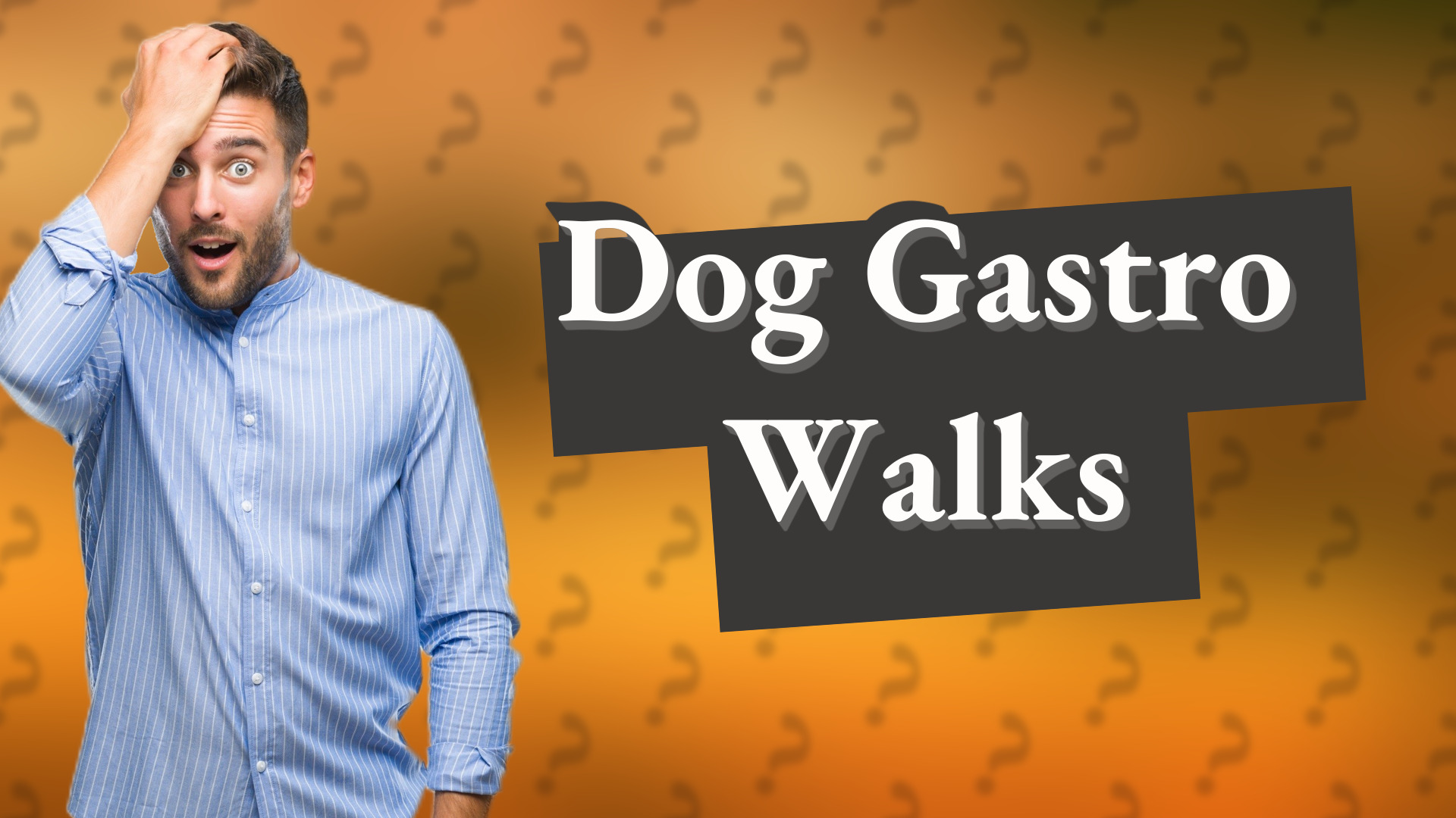 Dog Gastro Walks