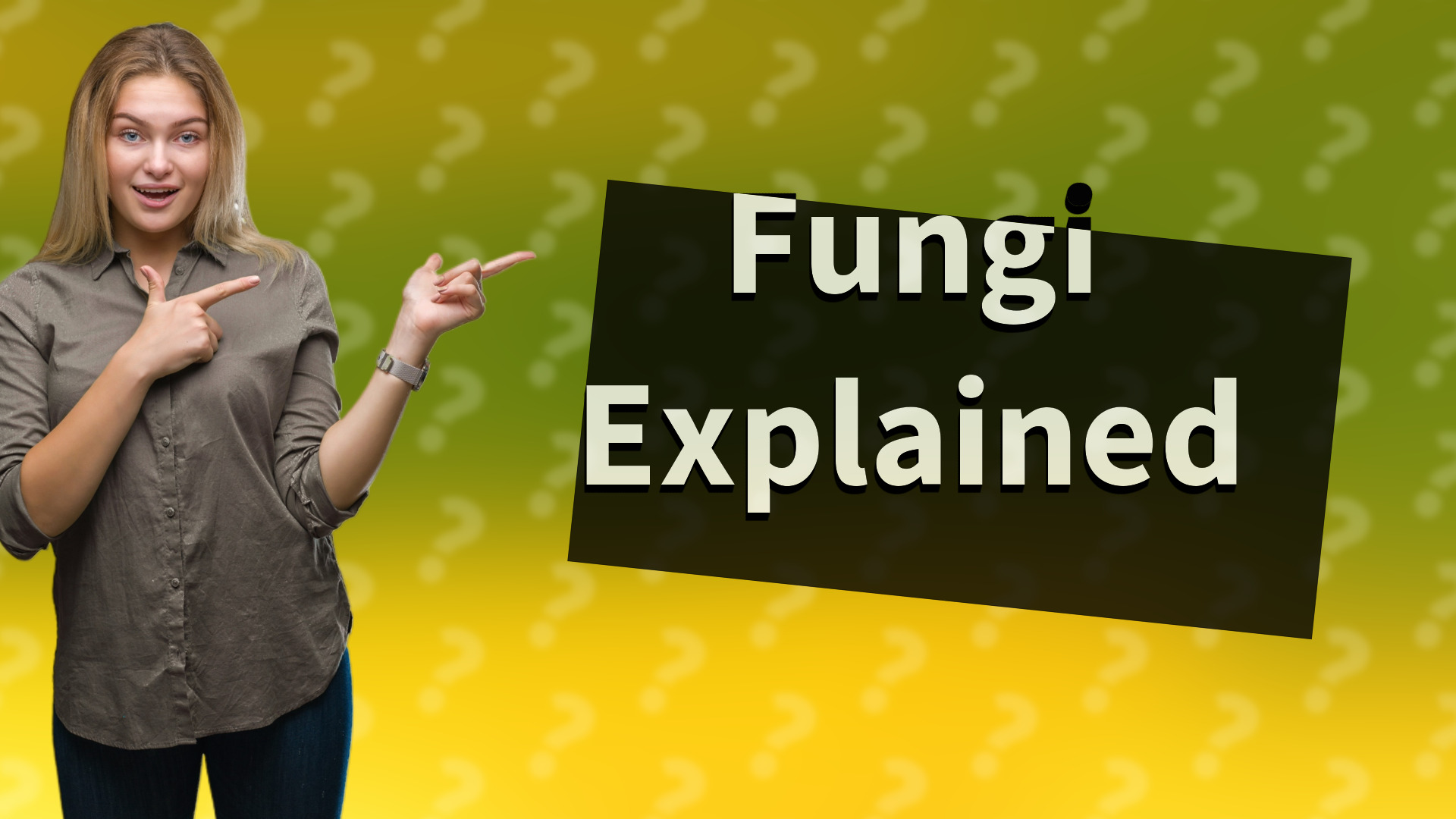 Fungi Explained