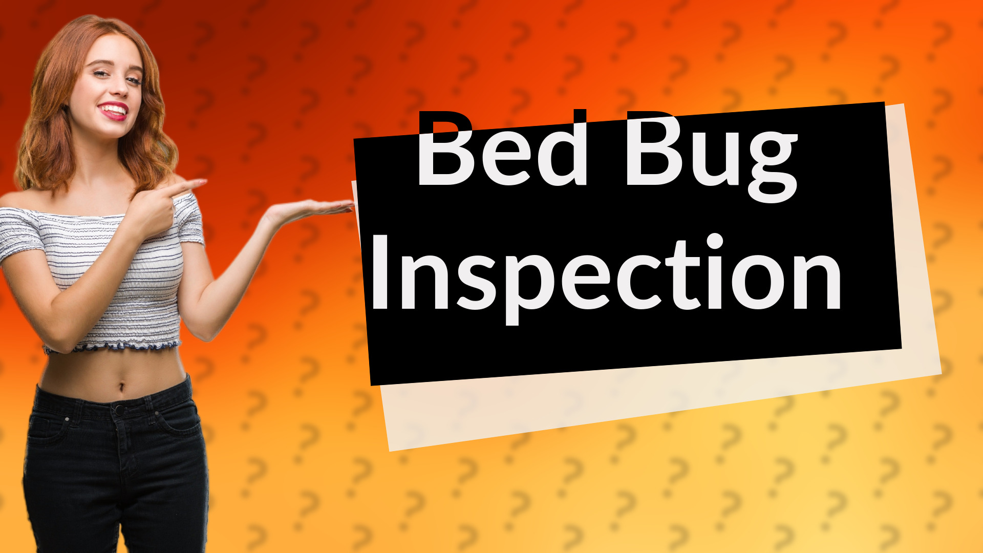 Bed Bug Inspection